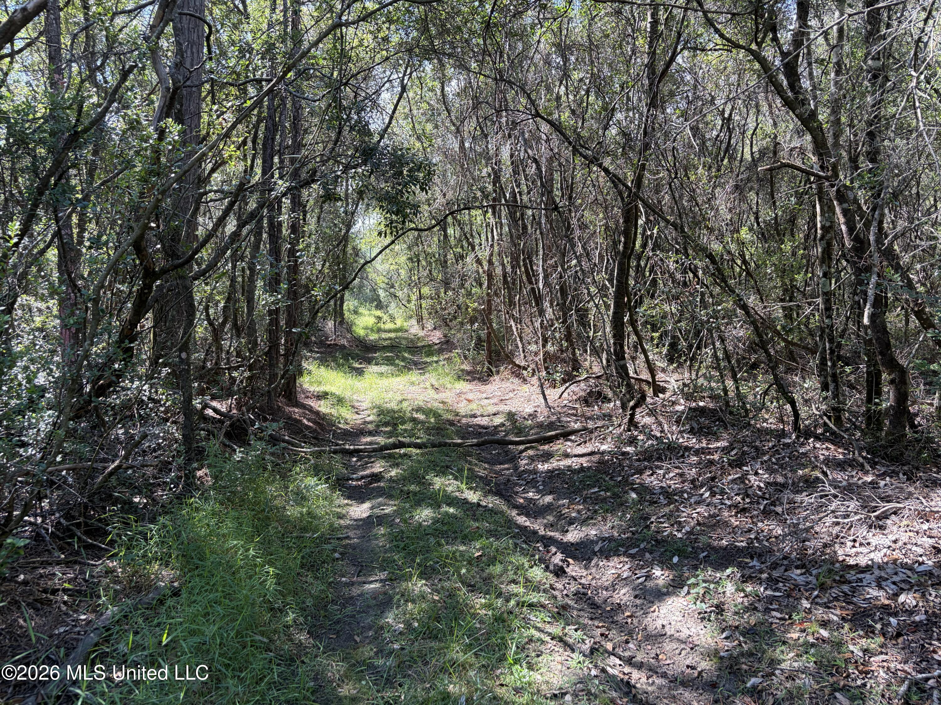 Rayford Shumock Road Property Photo 15