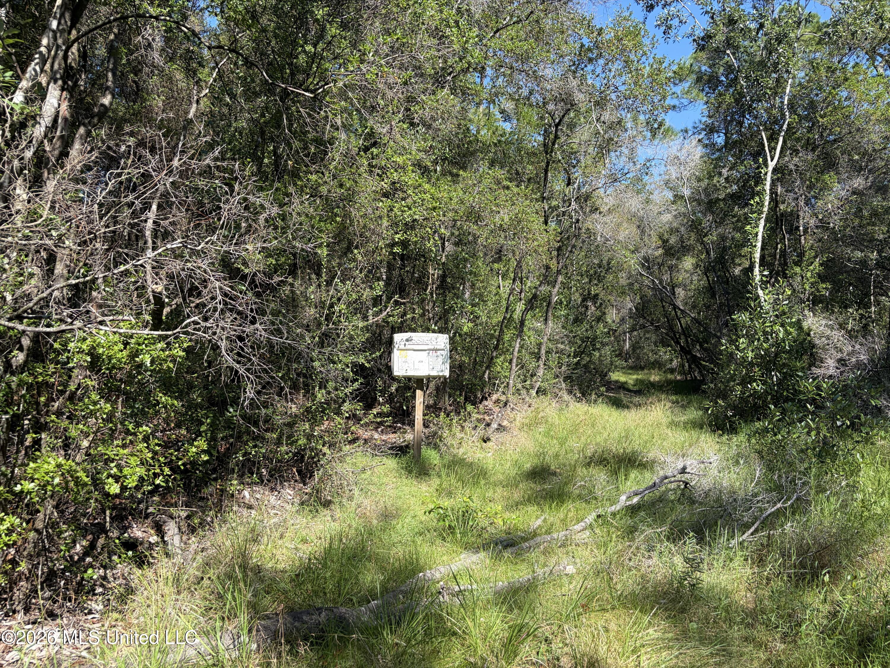 Rayford Shumock Road Property Photo 16