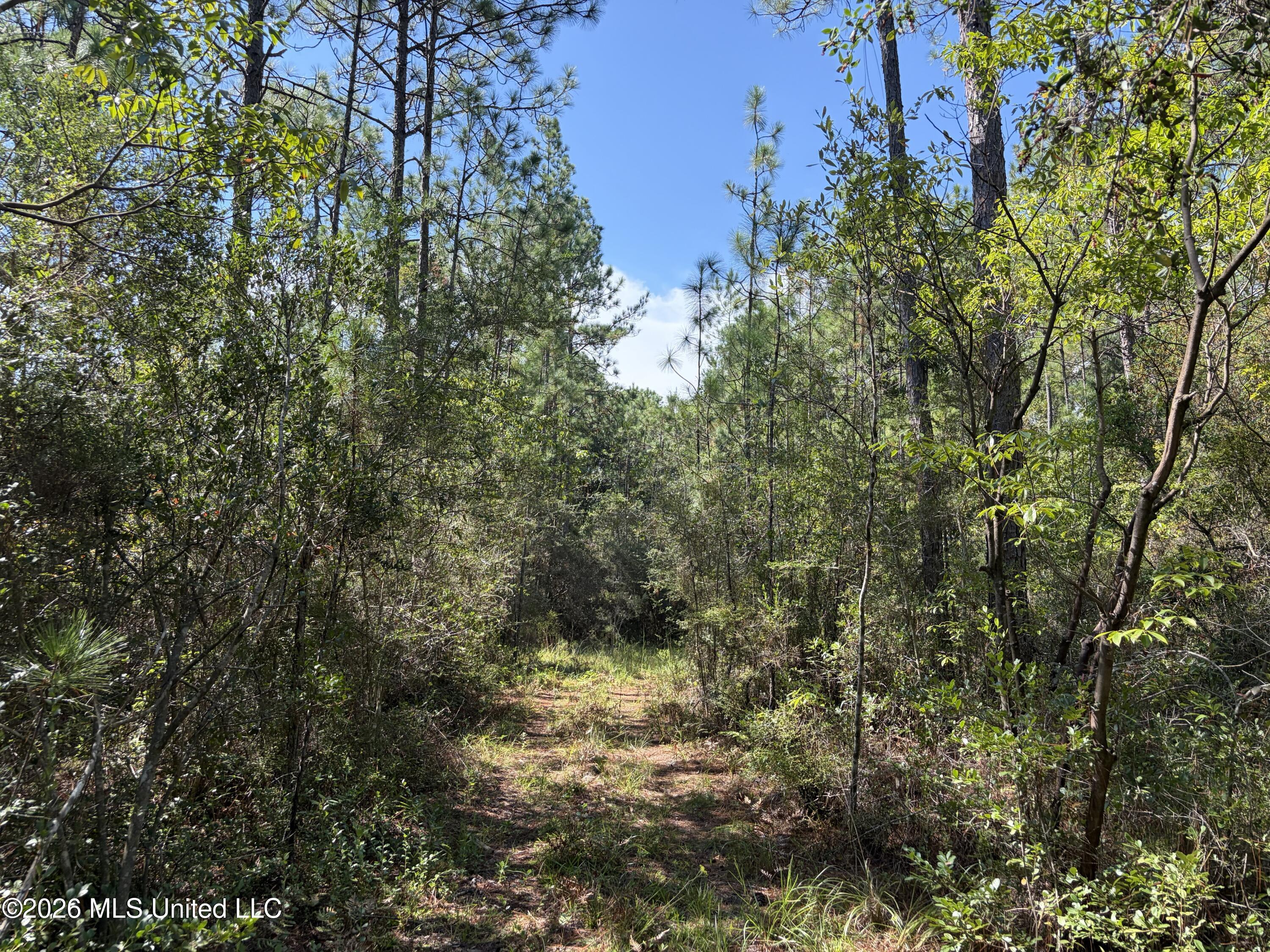 Rayford Shumock Road Property Photo 17