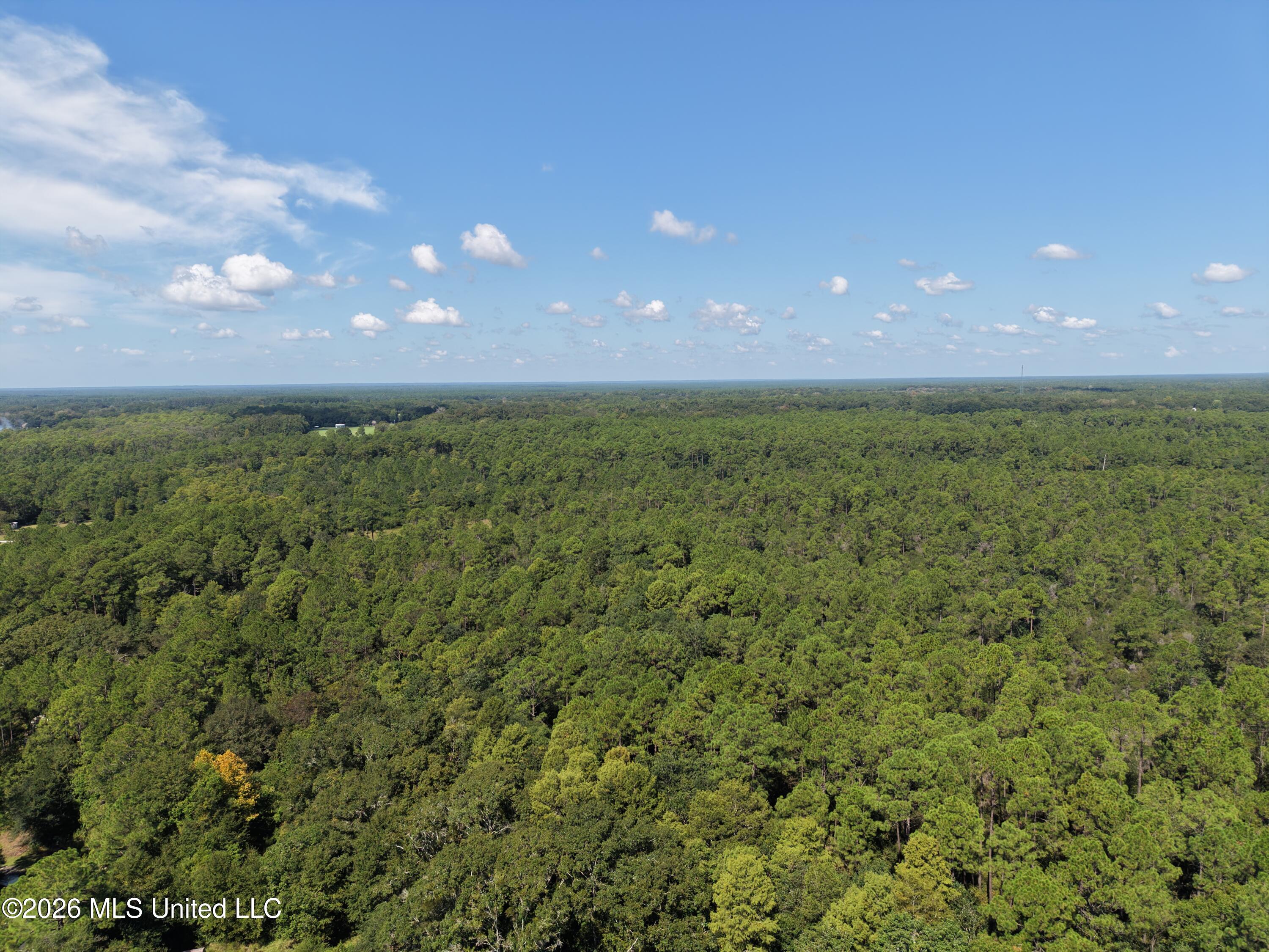 Rayford Shumock Road Property Photo 18