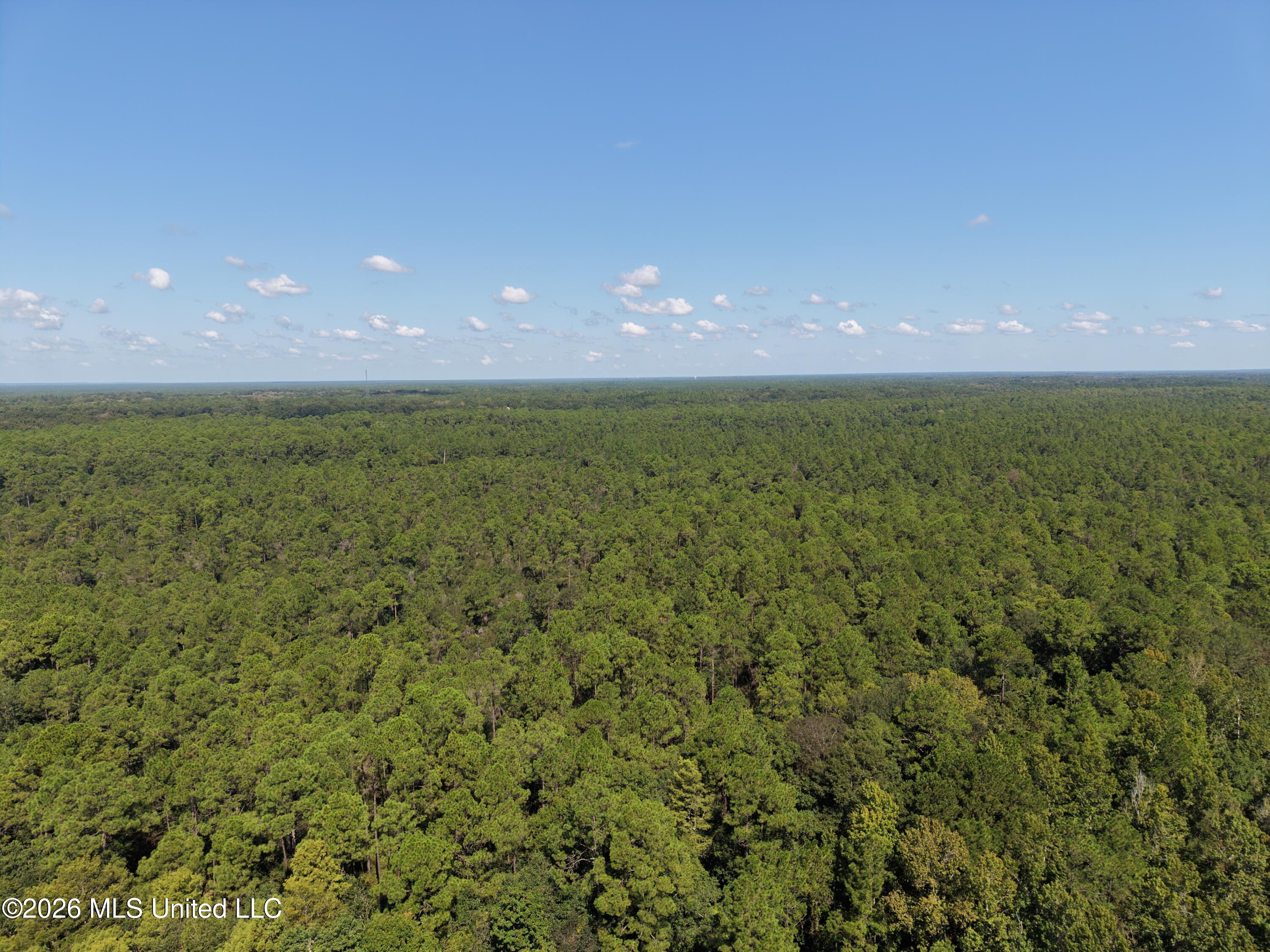 Rayford Shumock Road Property Photo 19