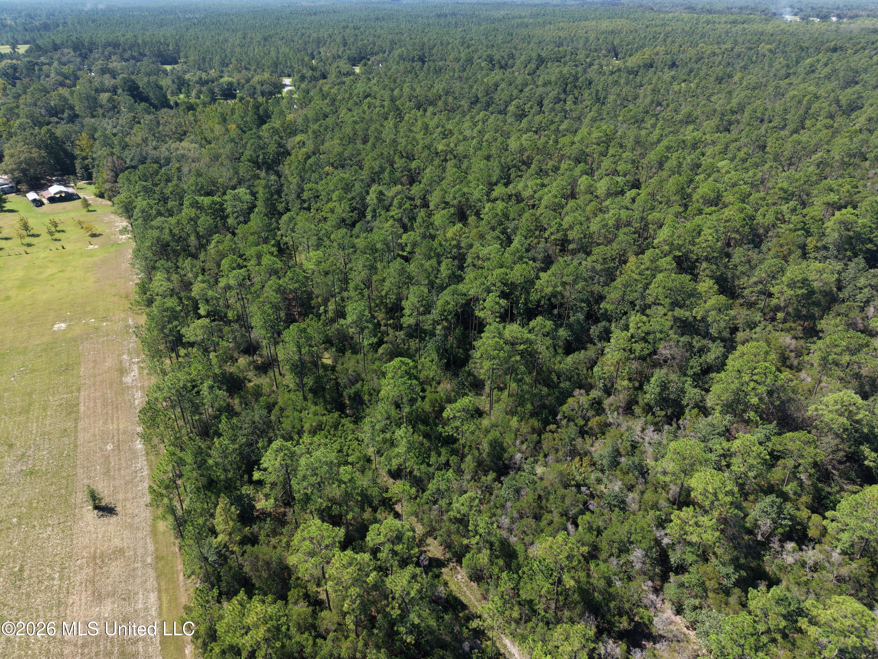 Rayford Shumock Road Property Photo 20