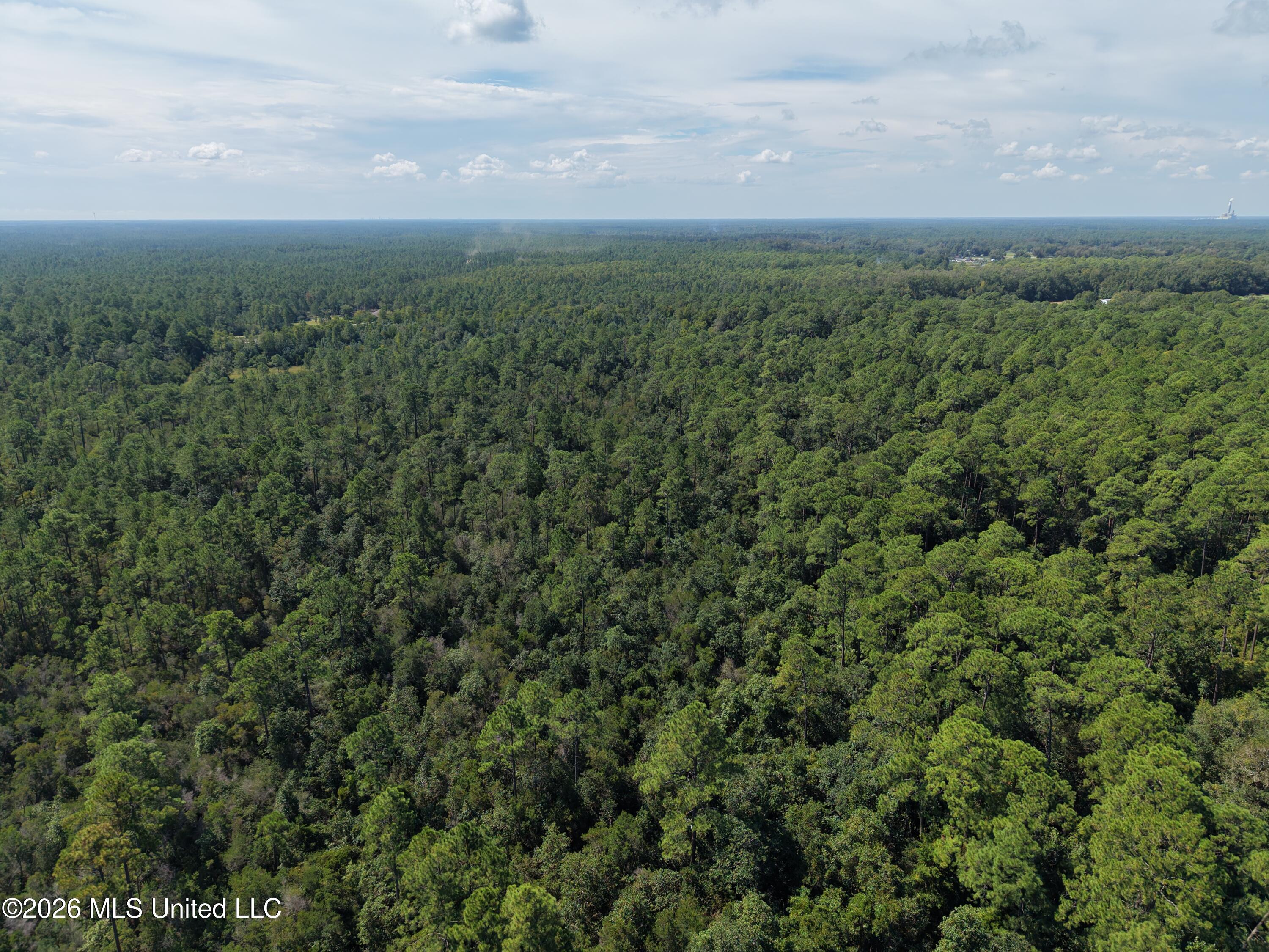 Rayford Shumock Road Property Photo 23