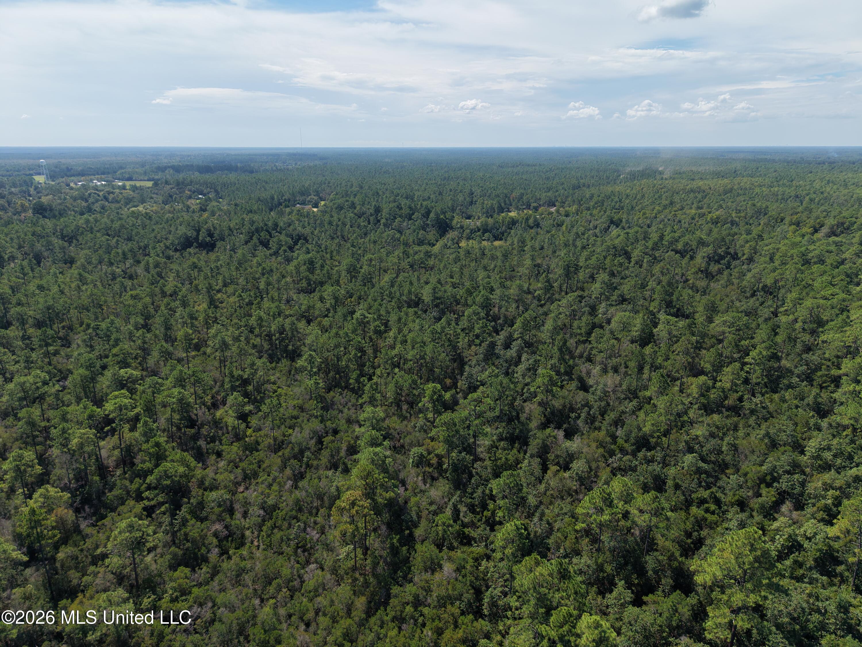 Rayford Shumock Road Property Photo 24