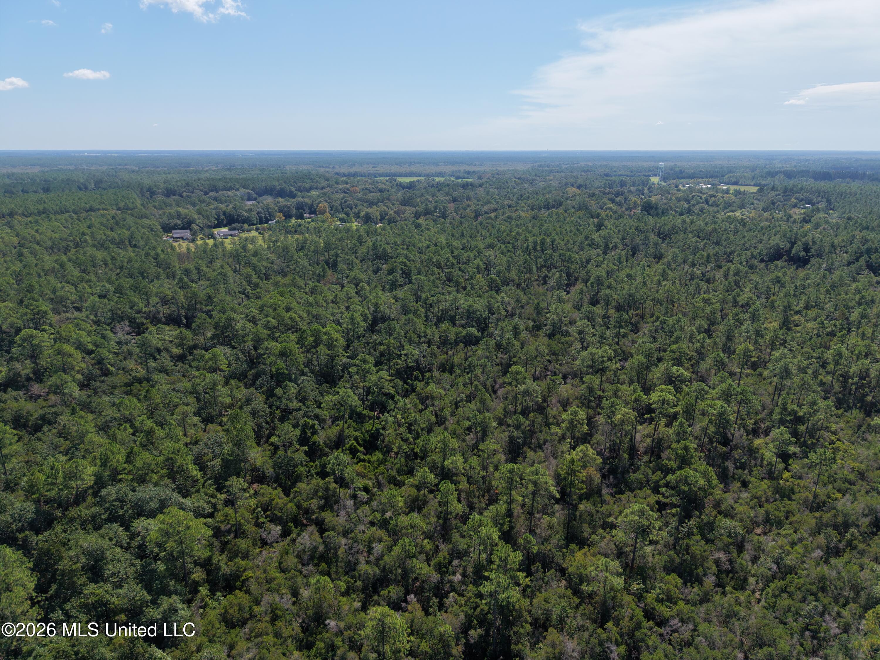 Rayford Shumock Road Property Photo 25