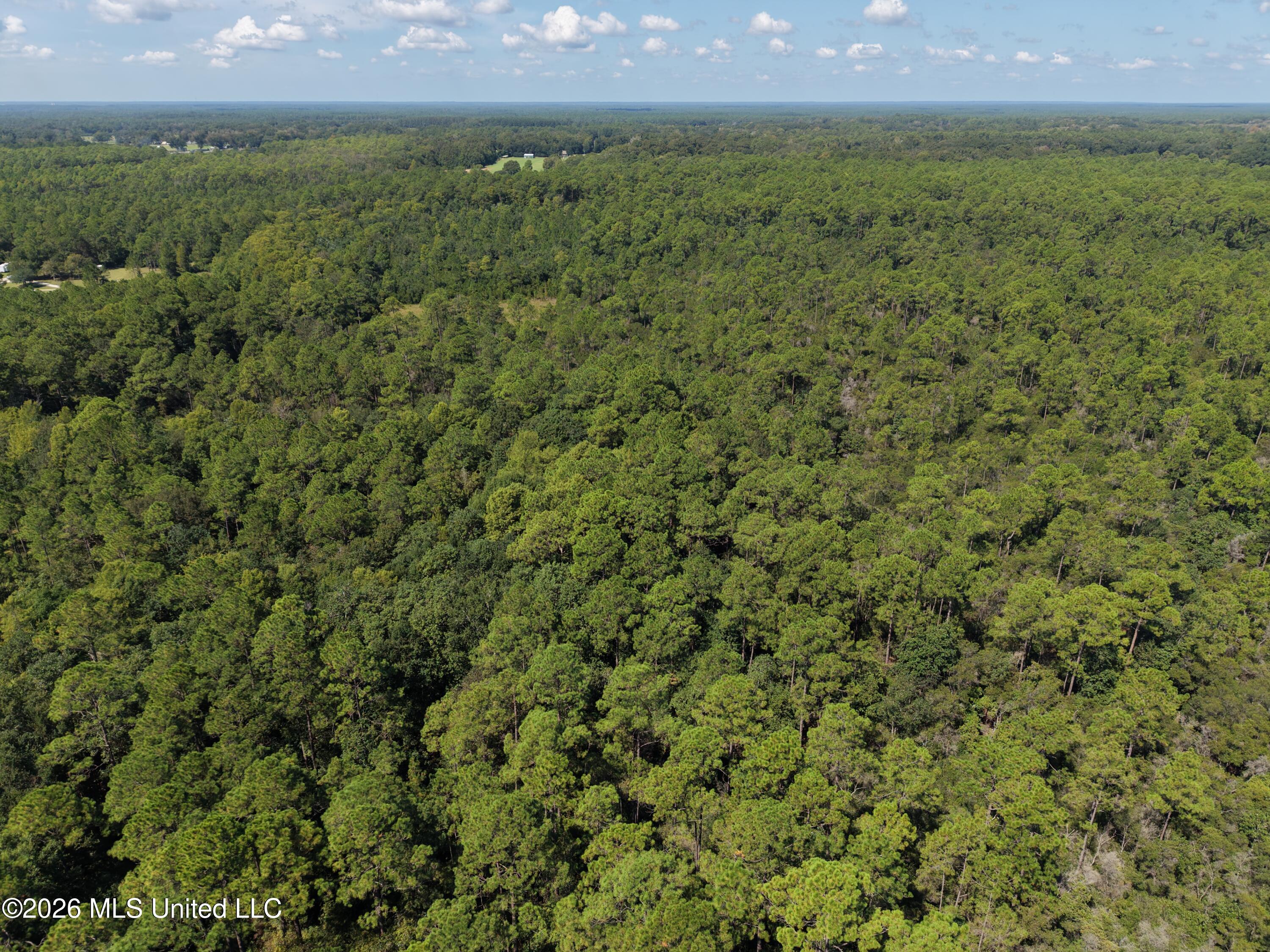 Rayford Shumock Road Property Photo 27