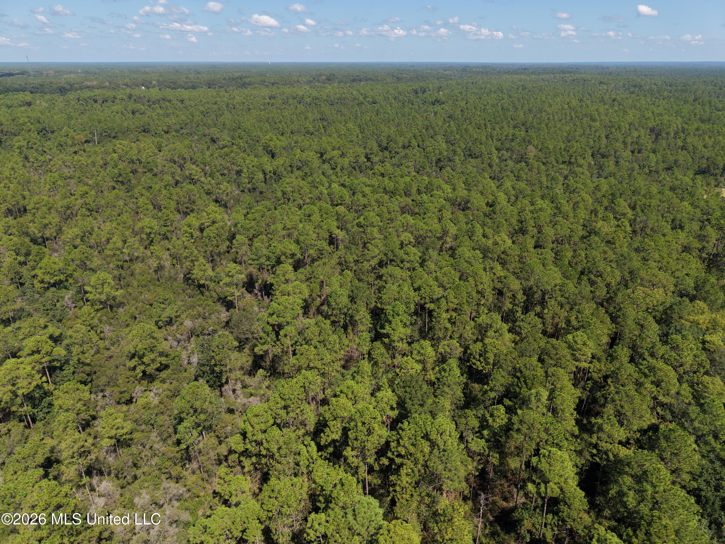 Rayford Shumock Road Property Photo 28