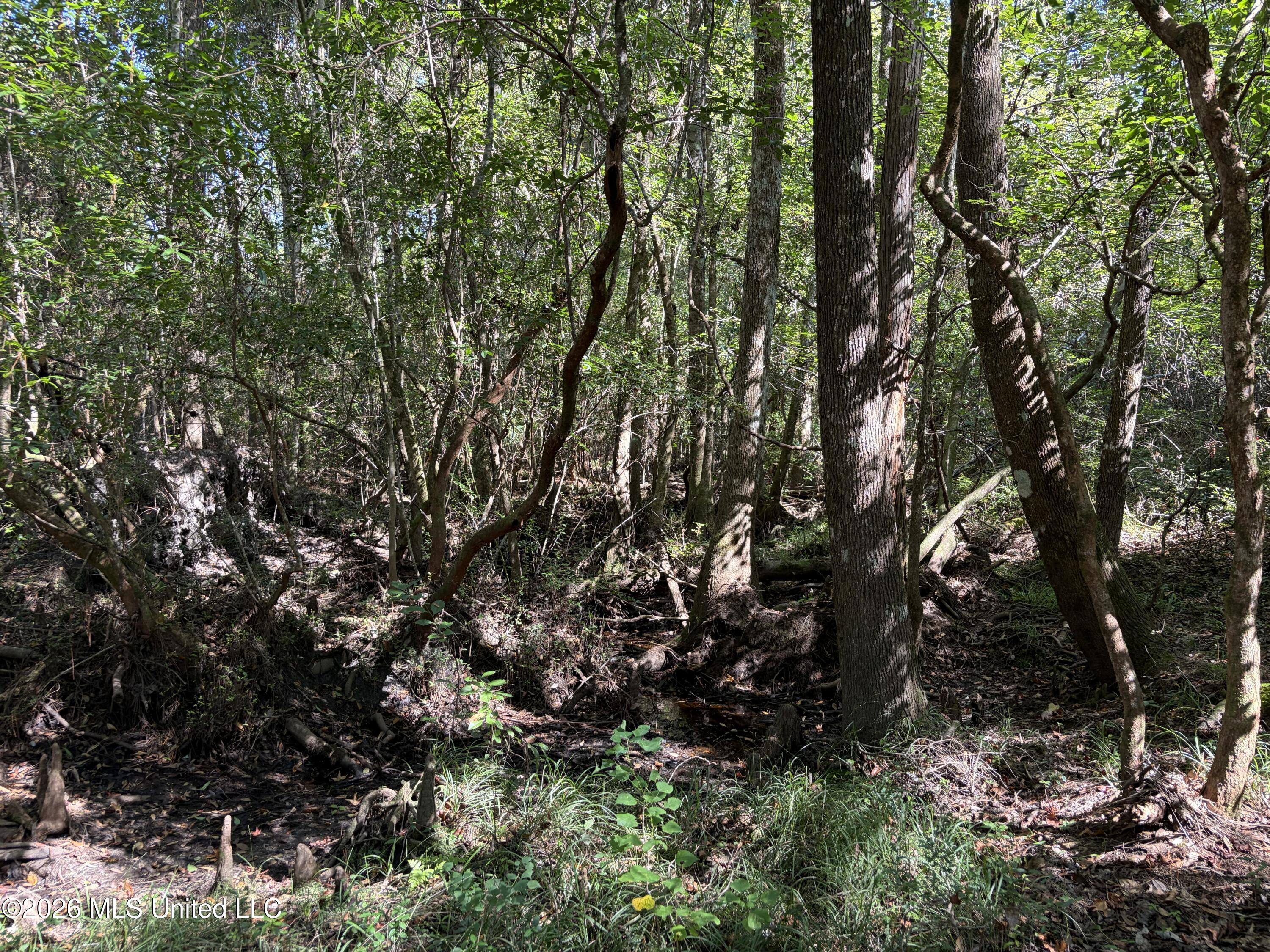 Rayford Shumock Road Property Photo 29