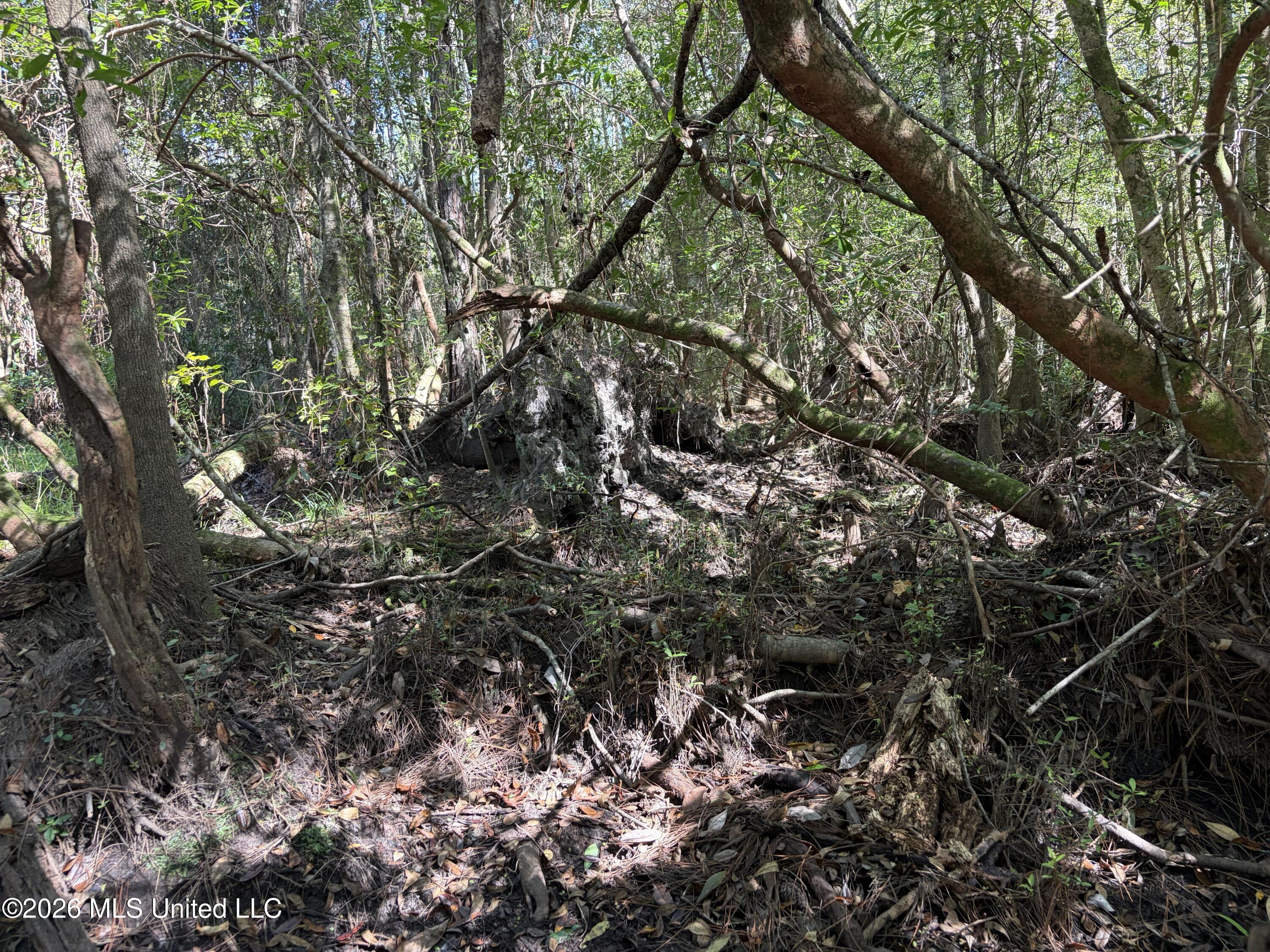 Rayford Shumock Road Property Photo 30