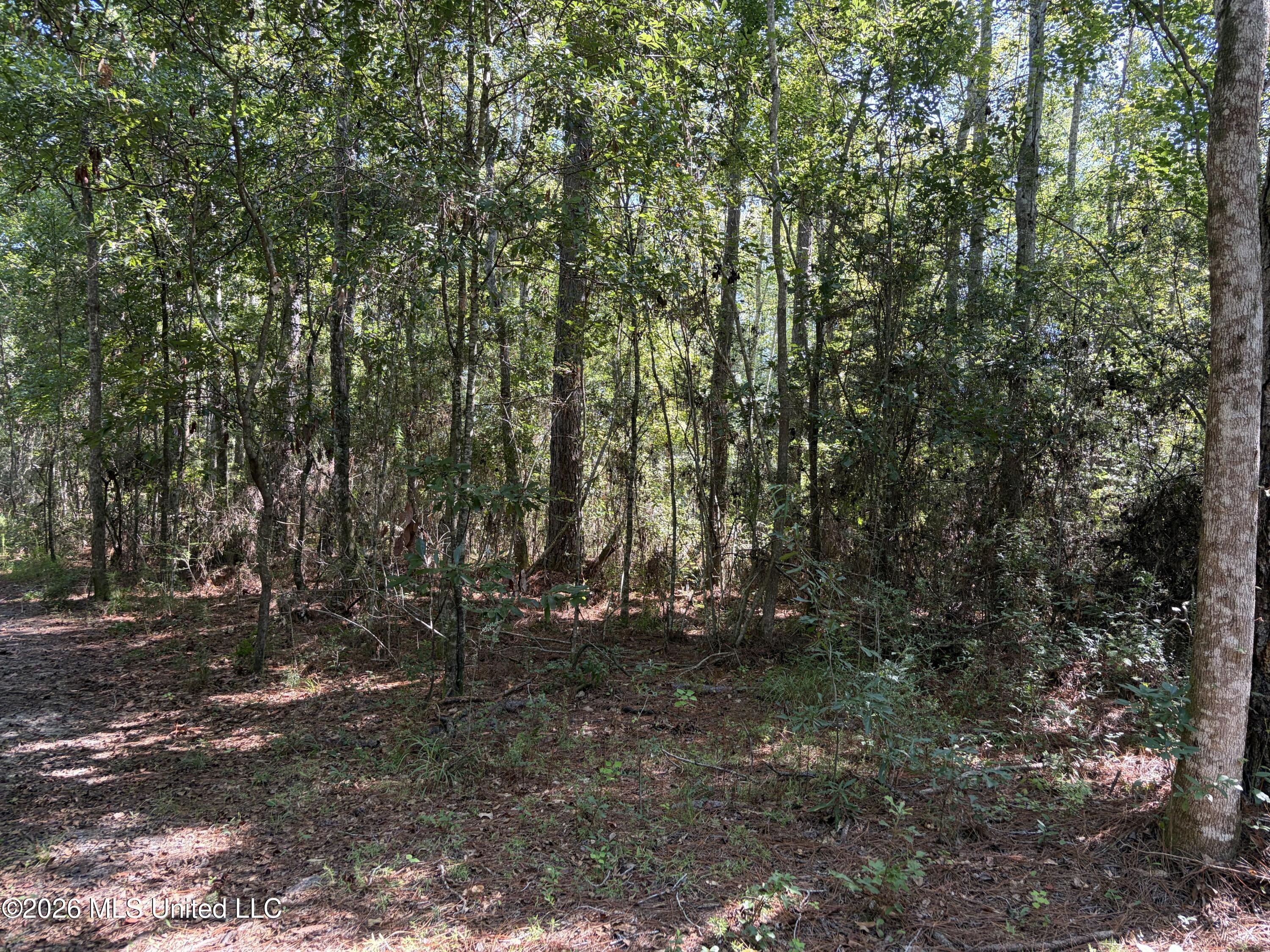 Rayford Shumock Road Property Photo 31