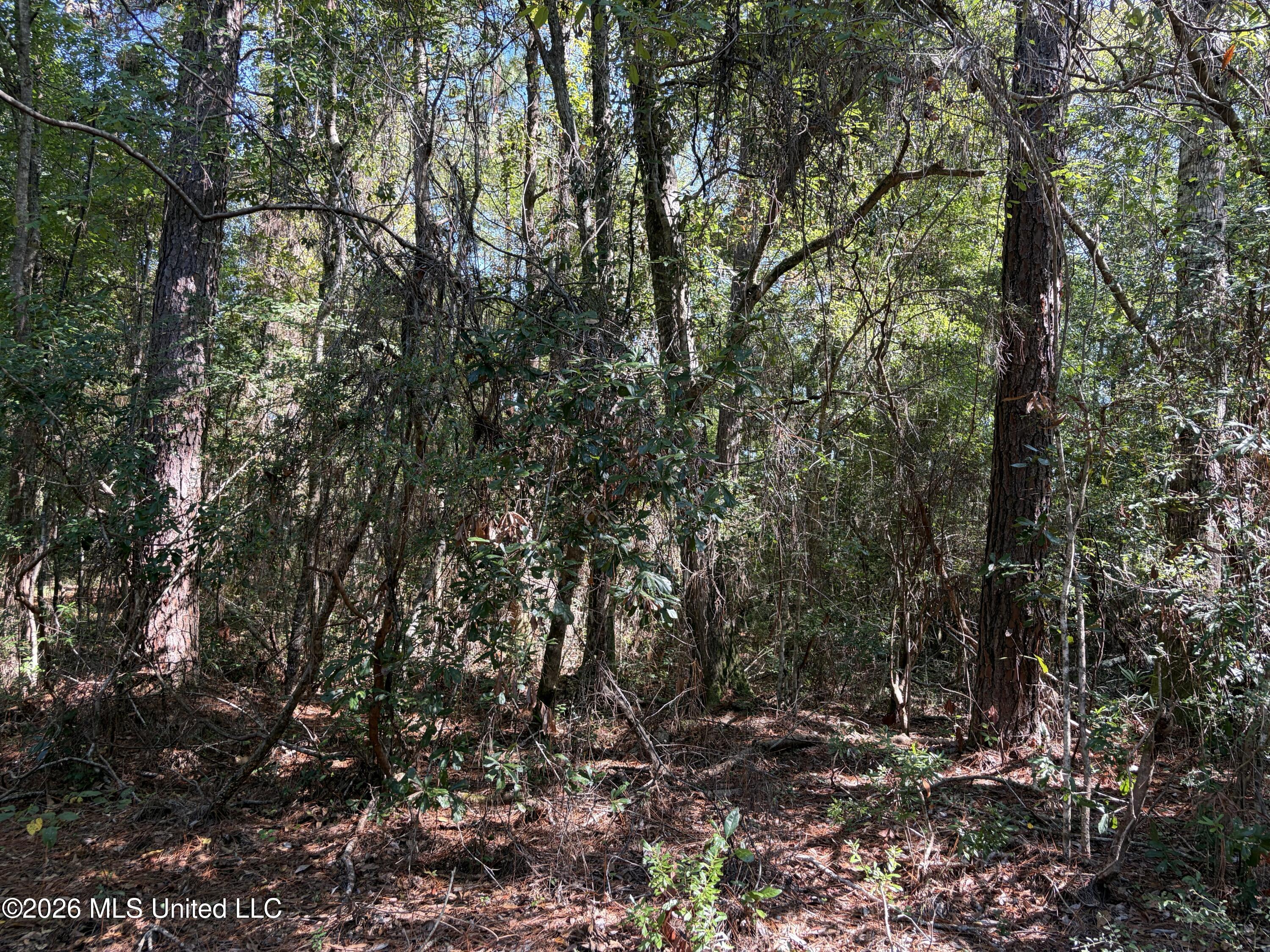 Rayford Shumock Road Property Photo 32