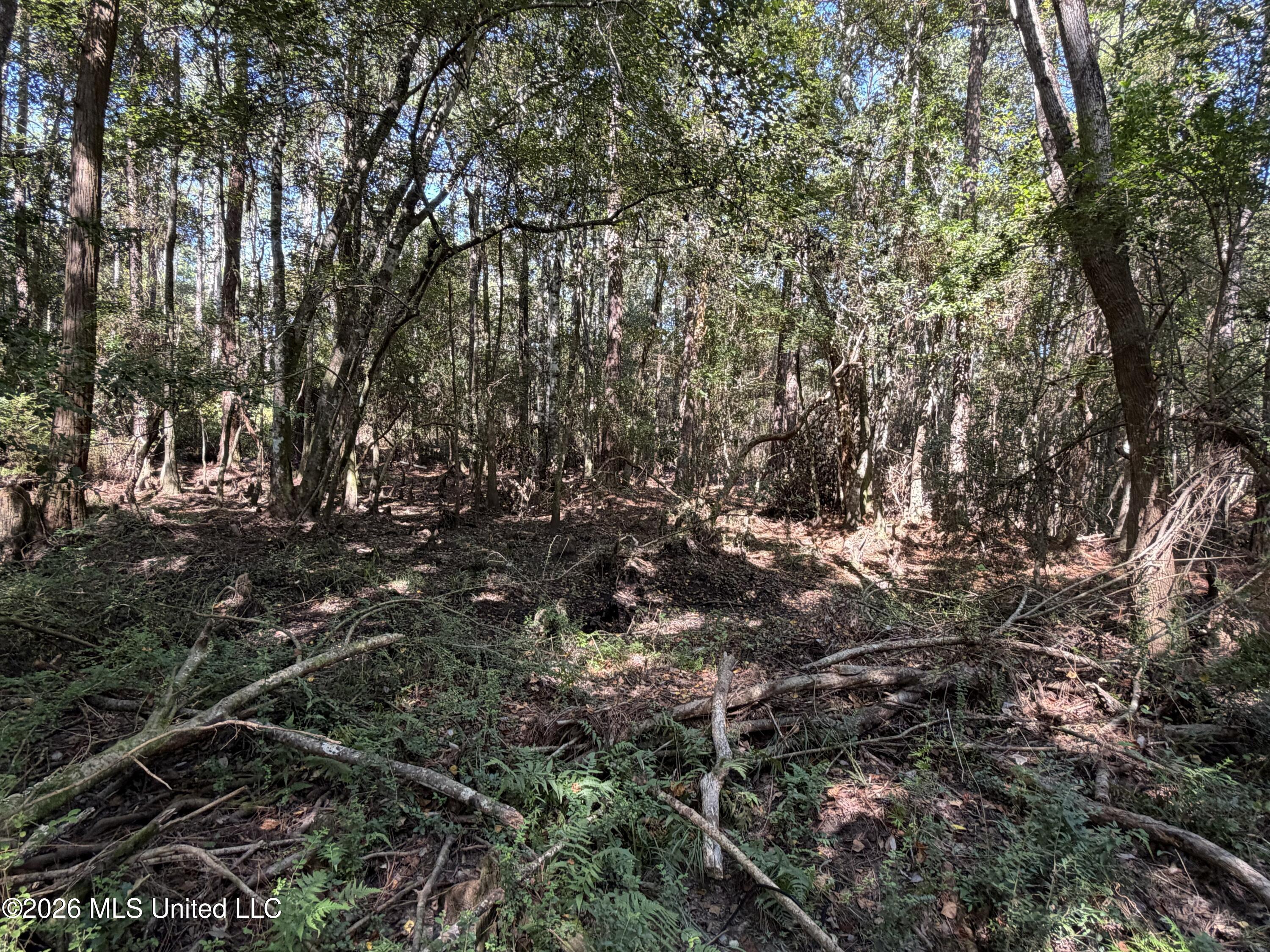 Rayford Shumock Road Property Photo 33