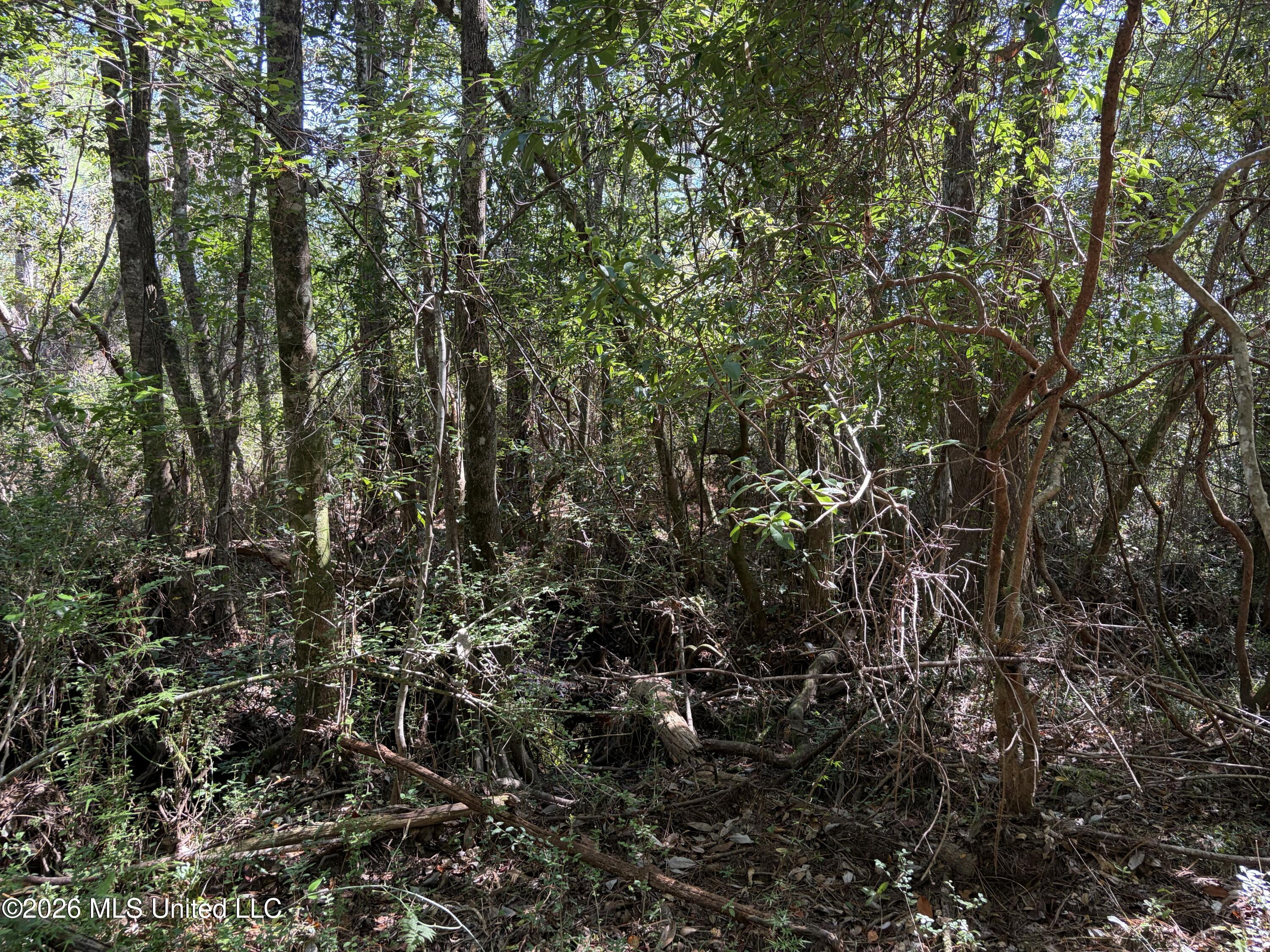 Rayford Shumock Road Property Photo 34