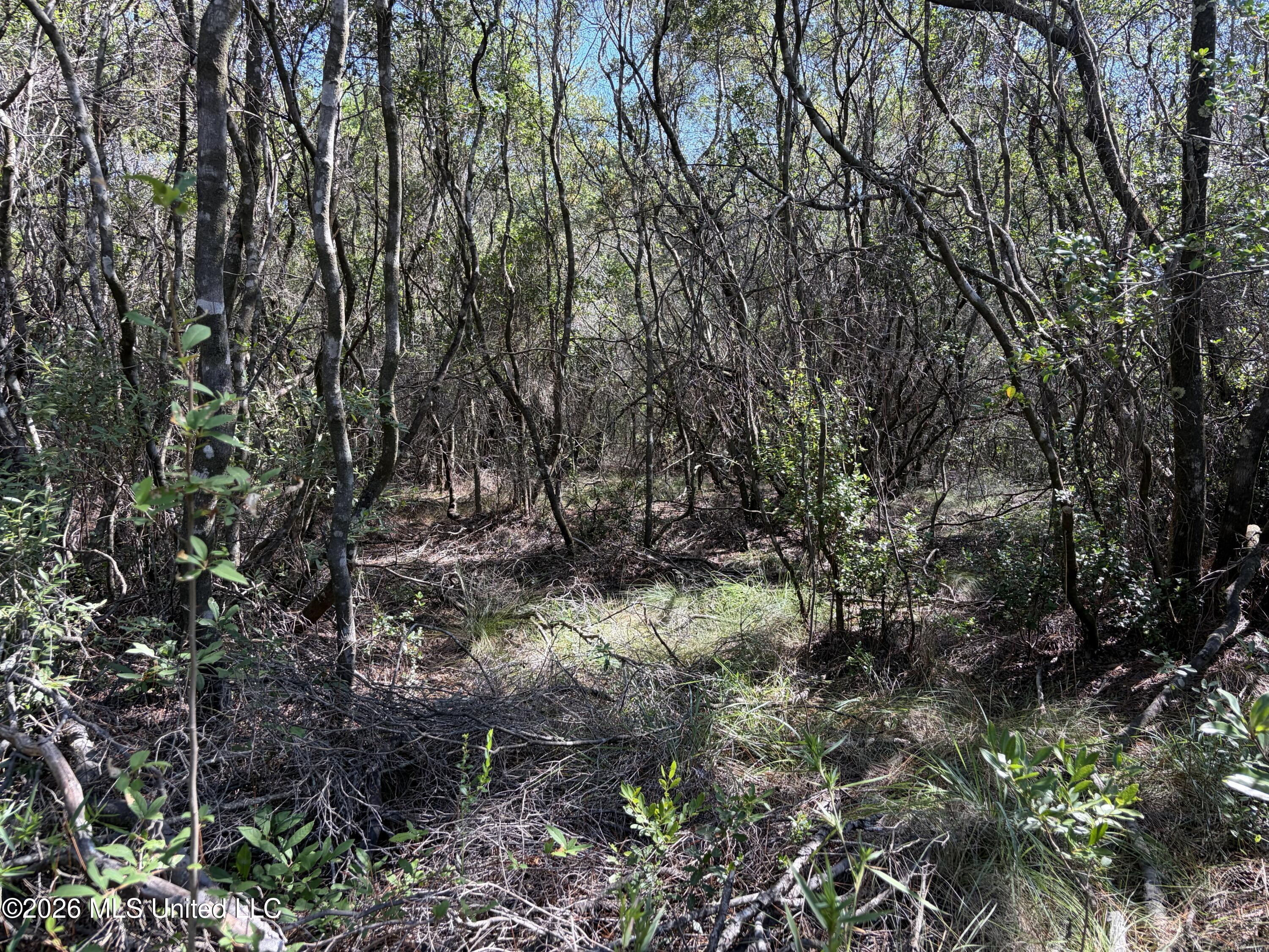 Rayford Shumock Road Property Photo 35