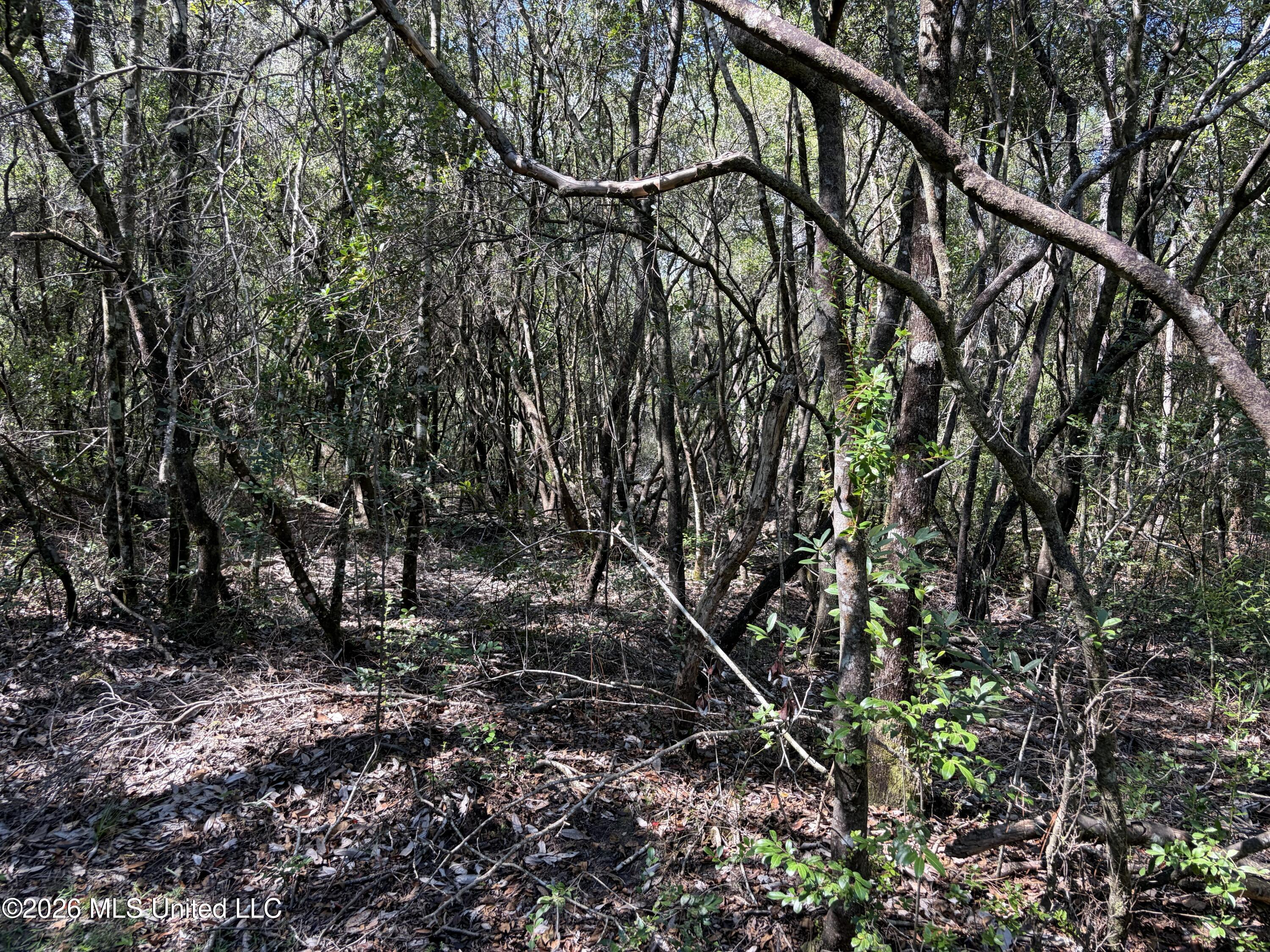 Rayford Shumock Road Property Photo 36