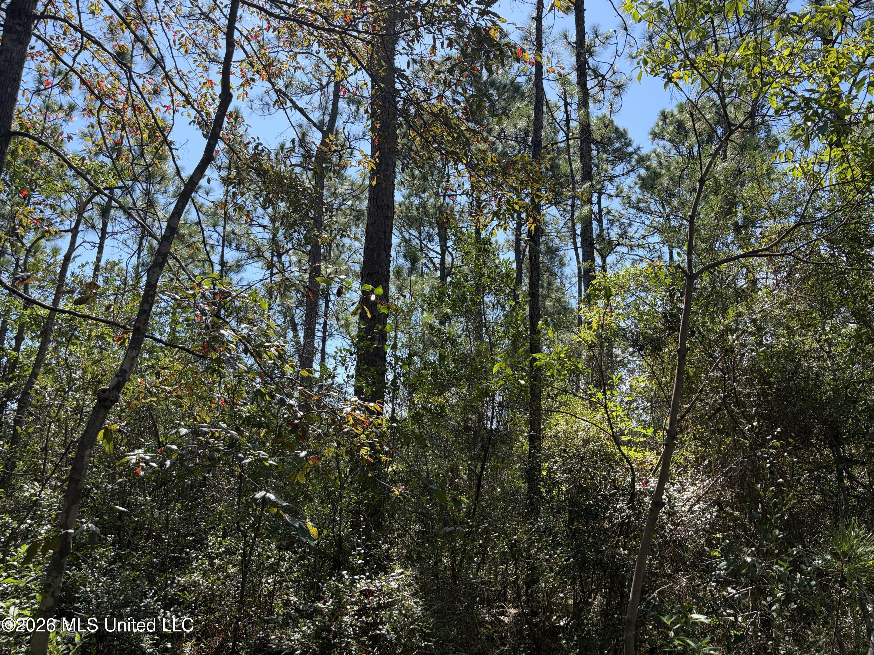 Rayford Shumock Road Property Photo 37