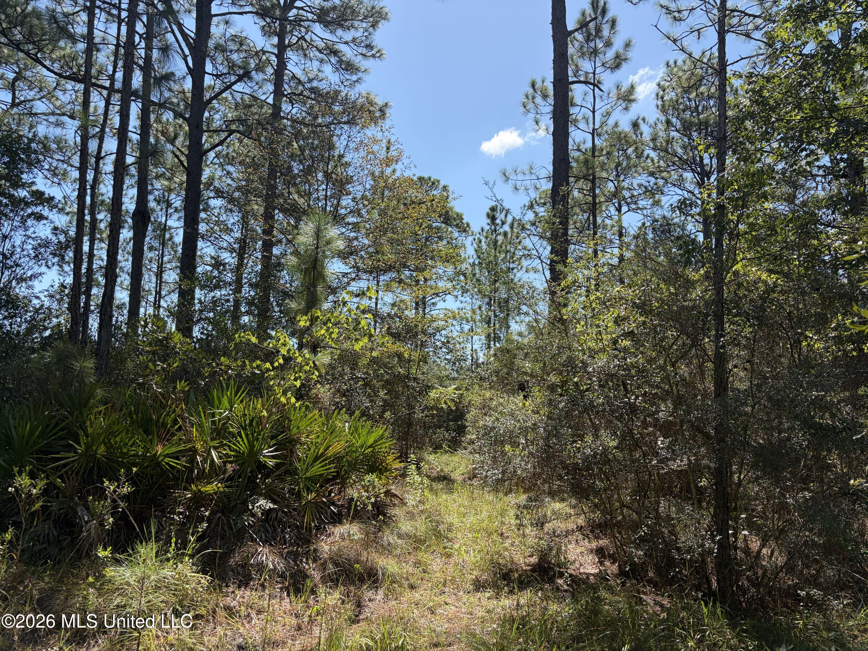 Rayford Shumock Road Property Photo 38