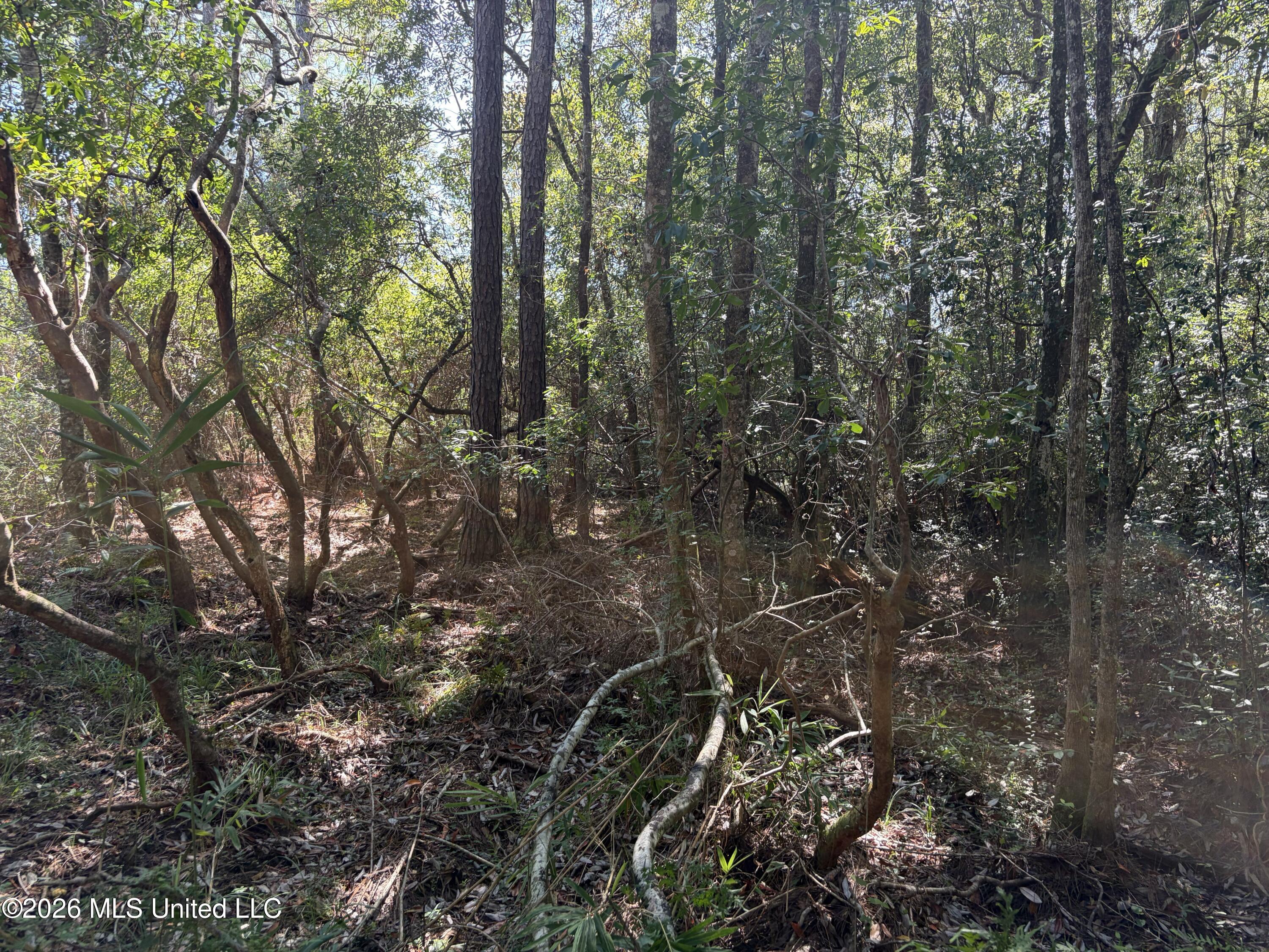 Rayford Shumock Road Property Photo 39