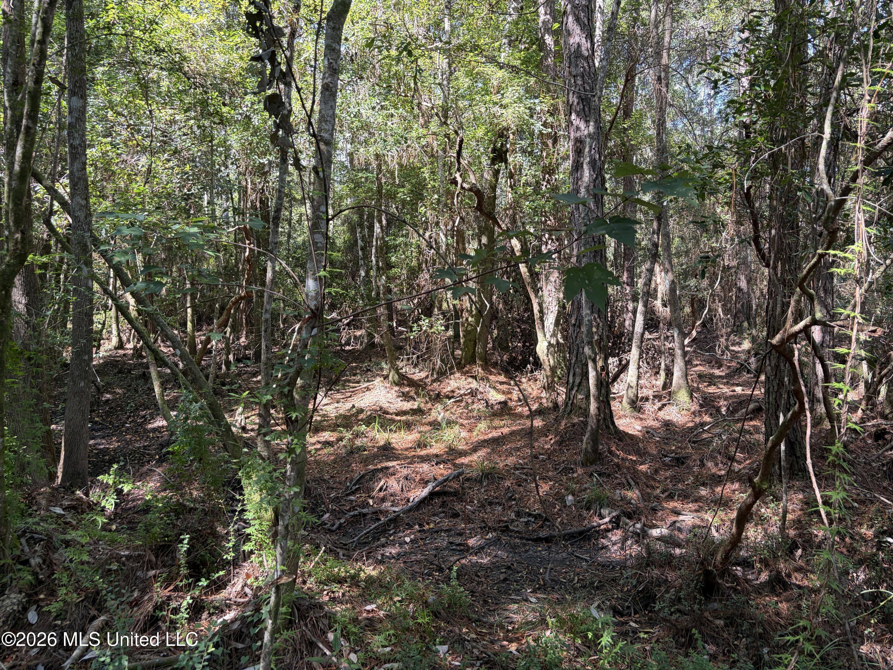 Rayford Shumock Road Property Photo 40