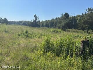 156 Mcgregor Chapel Road Property Photo 25