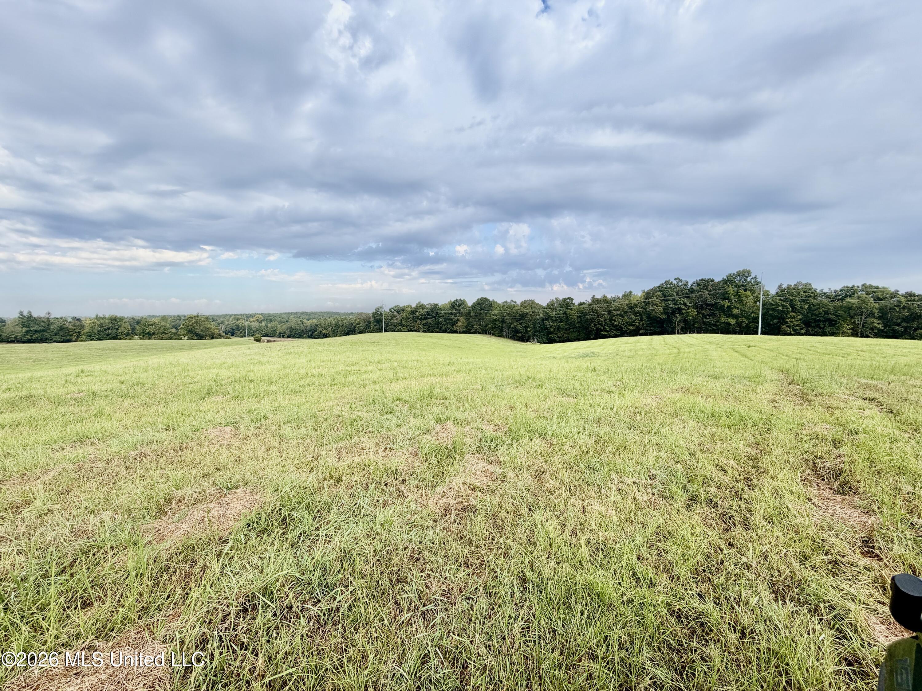 1955 Adams Road Property Photo 3