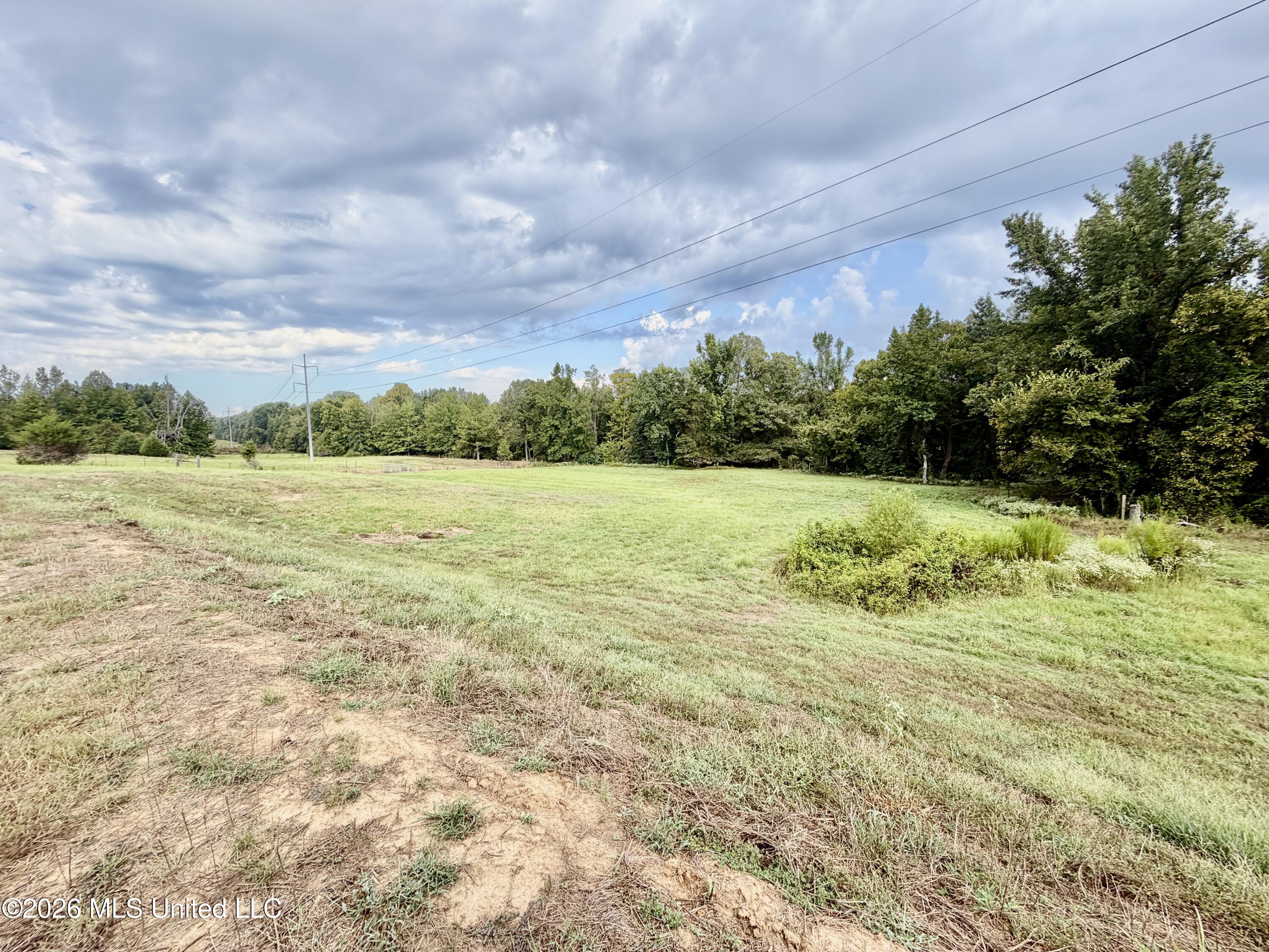 1955 Adams Road Property Photo 6