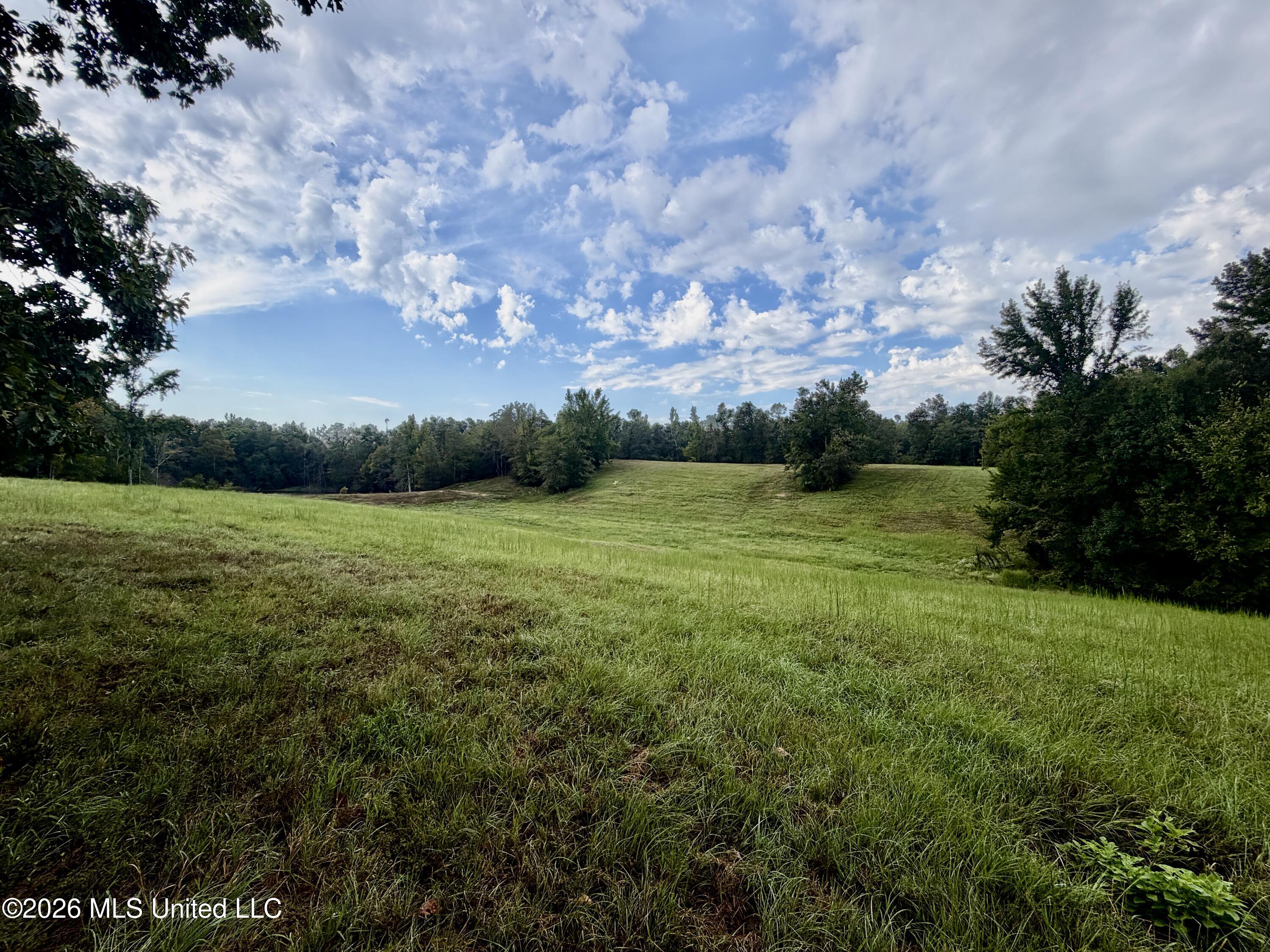 1955 Adams Road Property Photo 8