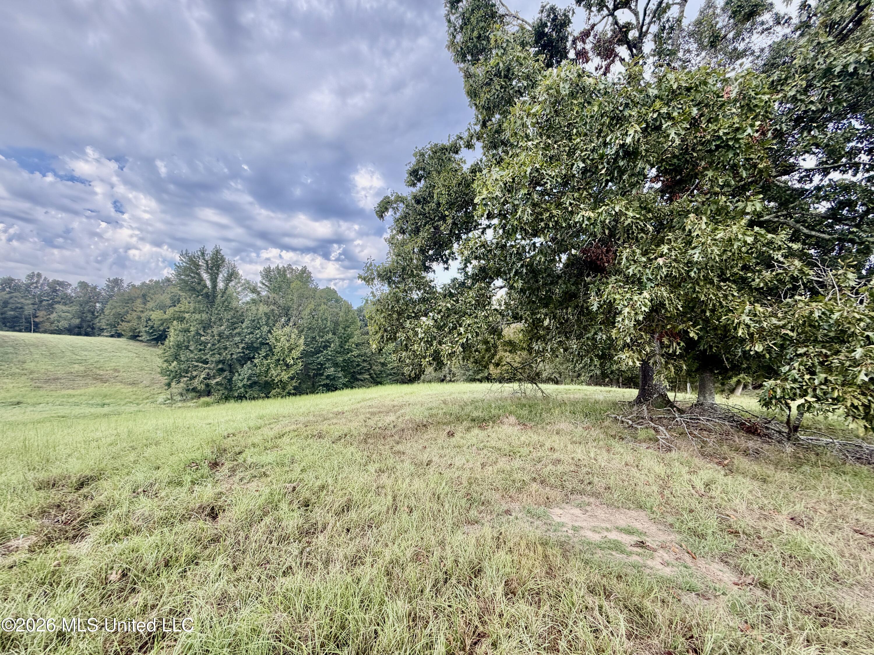 1955 Adams Road Property Photo 9