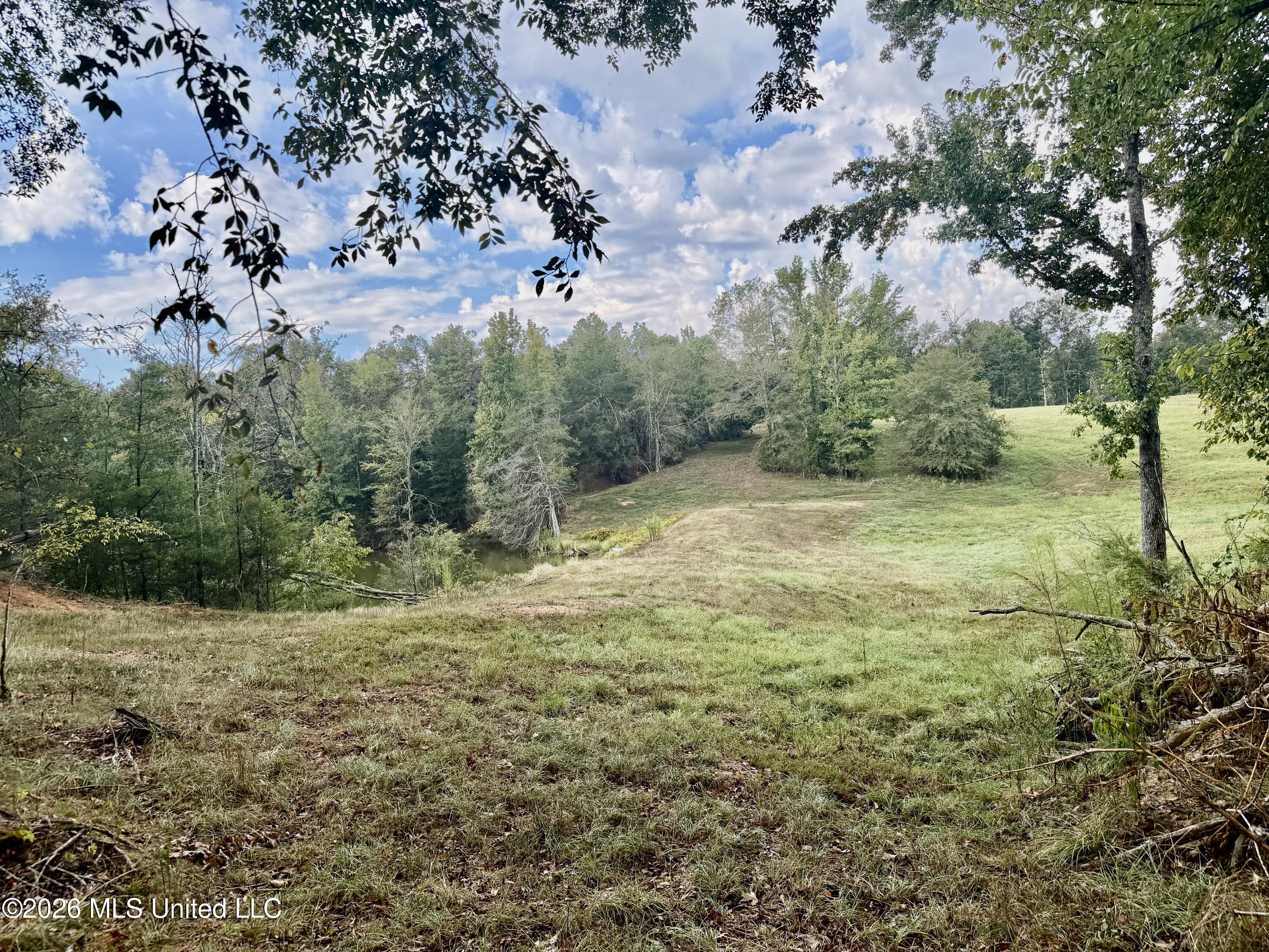 1955 Adams Road Property Photo 10