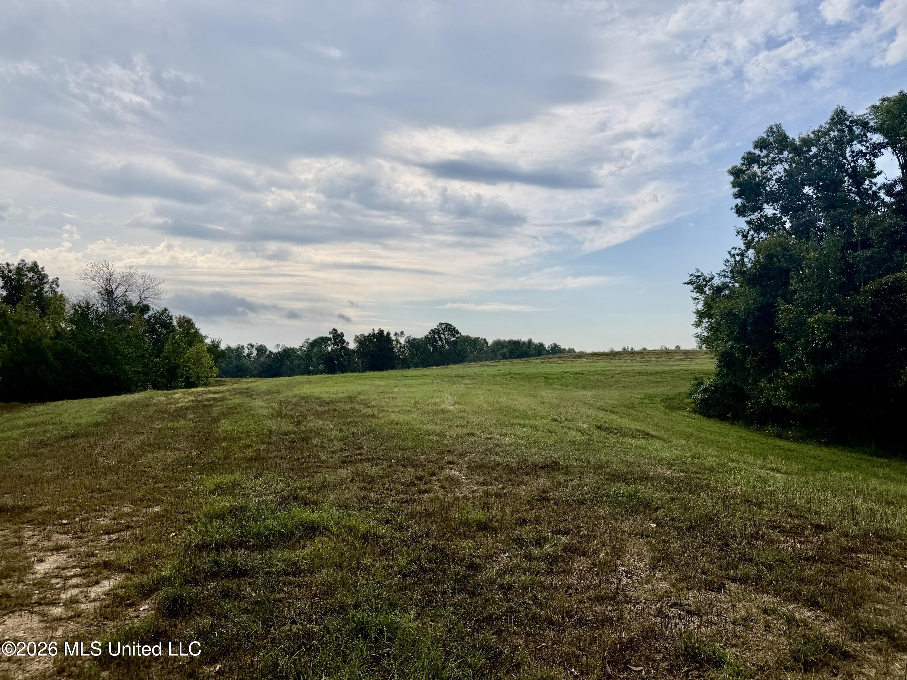 1955 Adams Road Property Photo 14