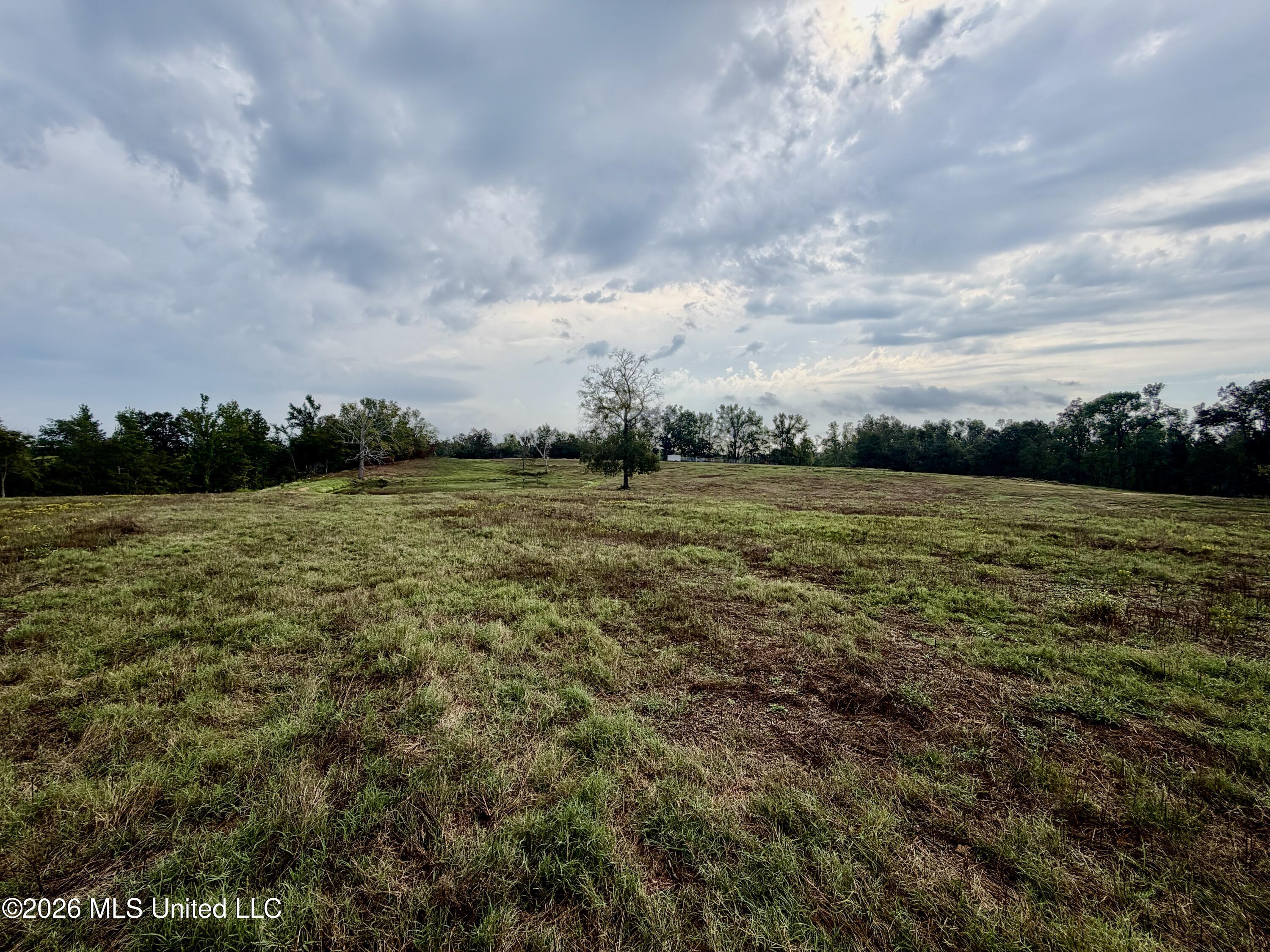 1955 Adams Road Property Photo 15