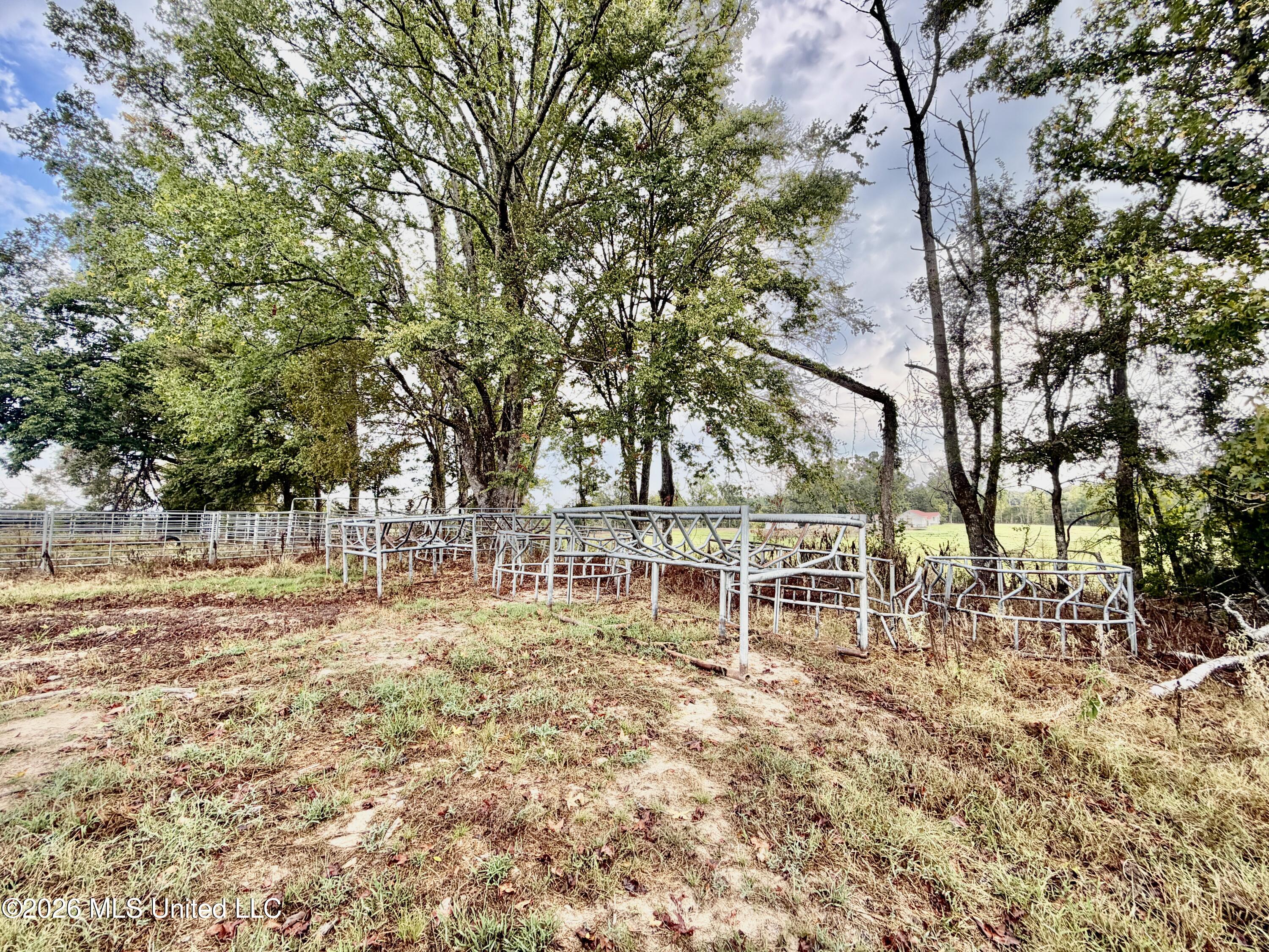 1955 Adams Road Property Photo 19