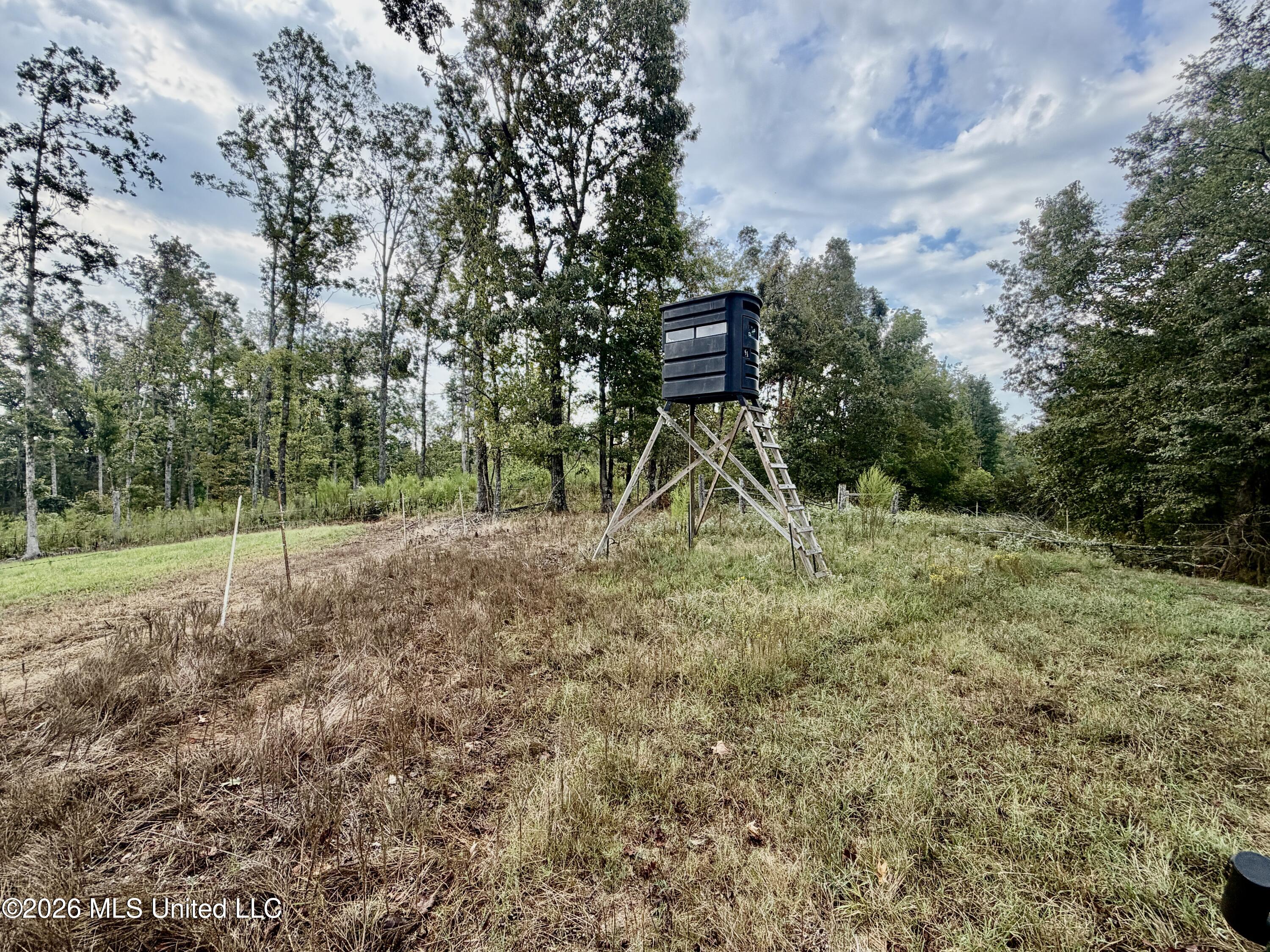 1955 Adams Road Property Photo 22