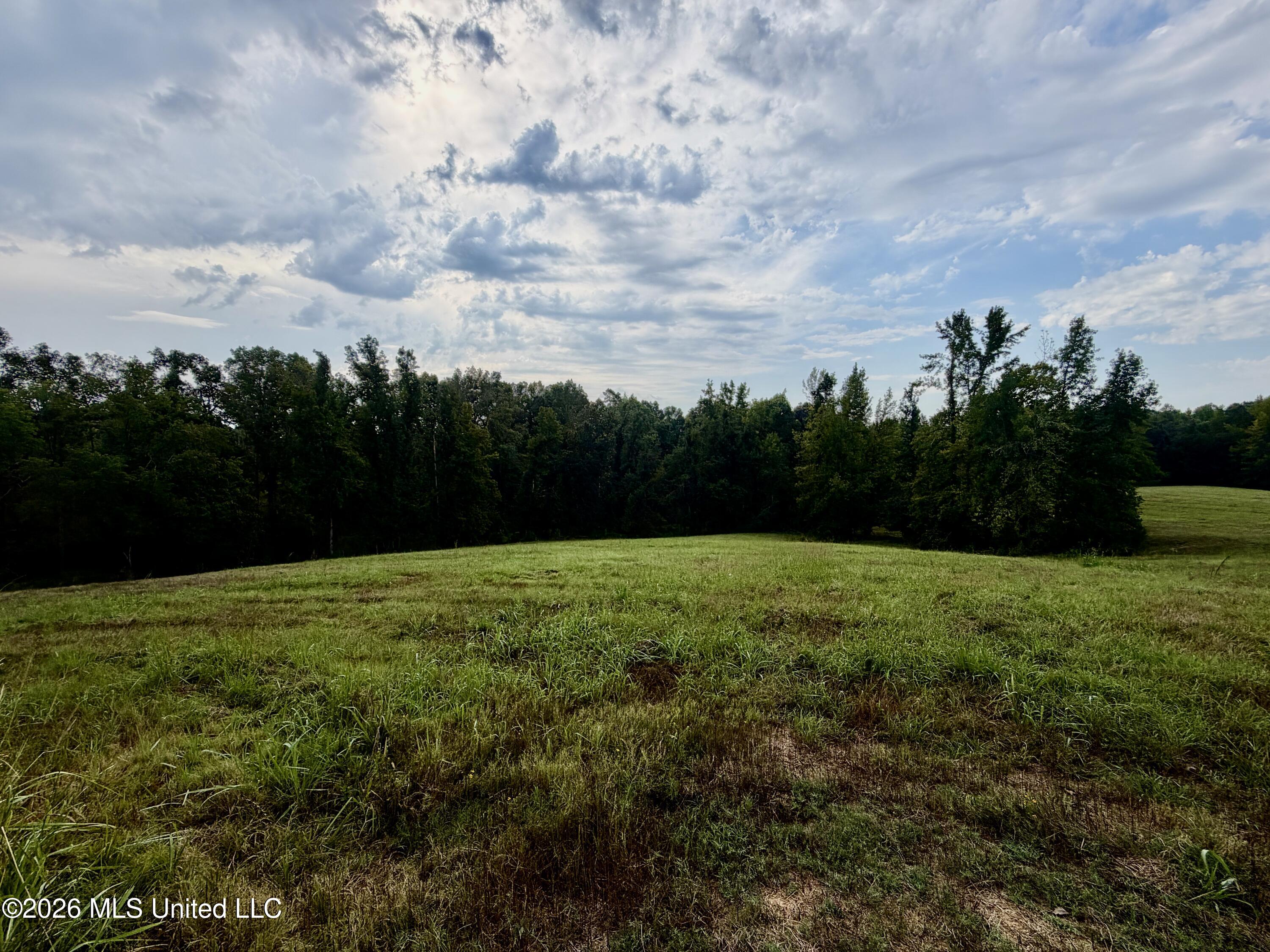 1955 Adams Road Property Photo 23
