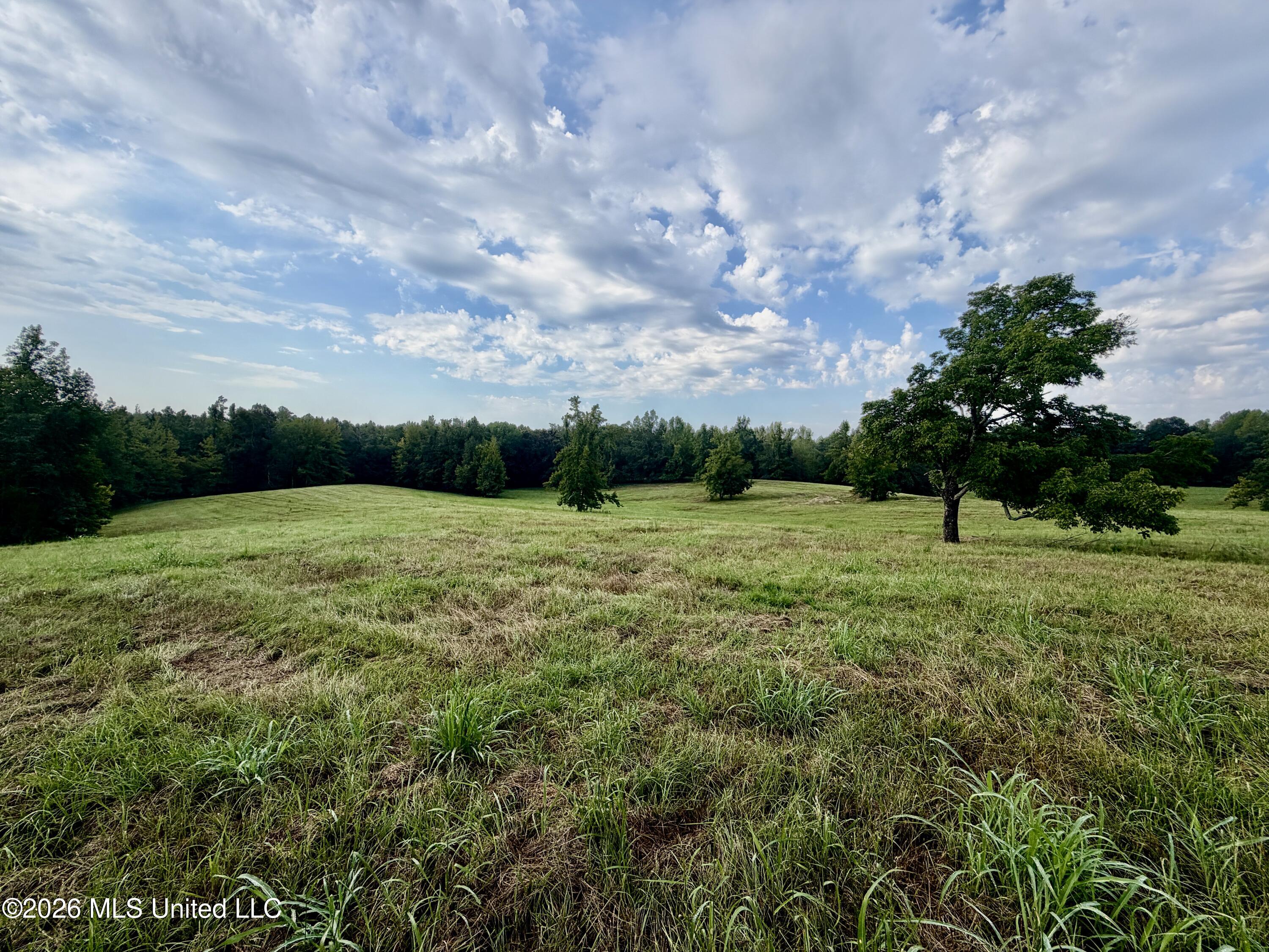 1955 Adams Road Property Photo 24