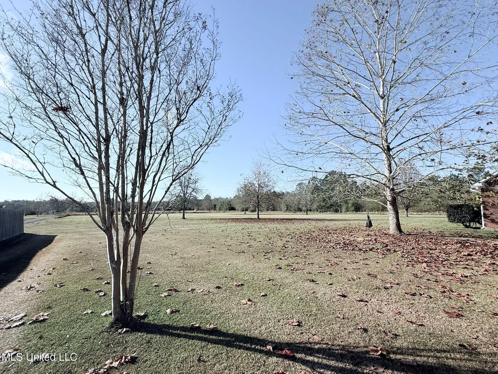 7345 Amberwood Lane Property Photo 4