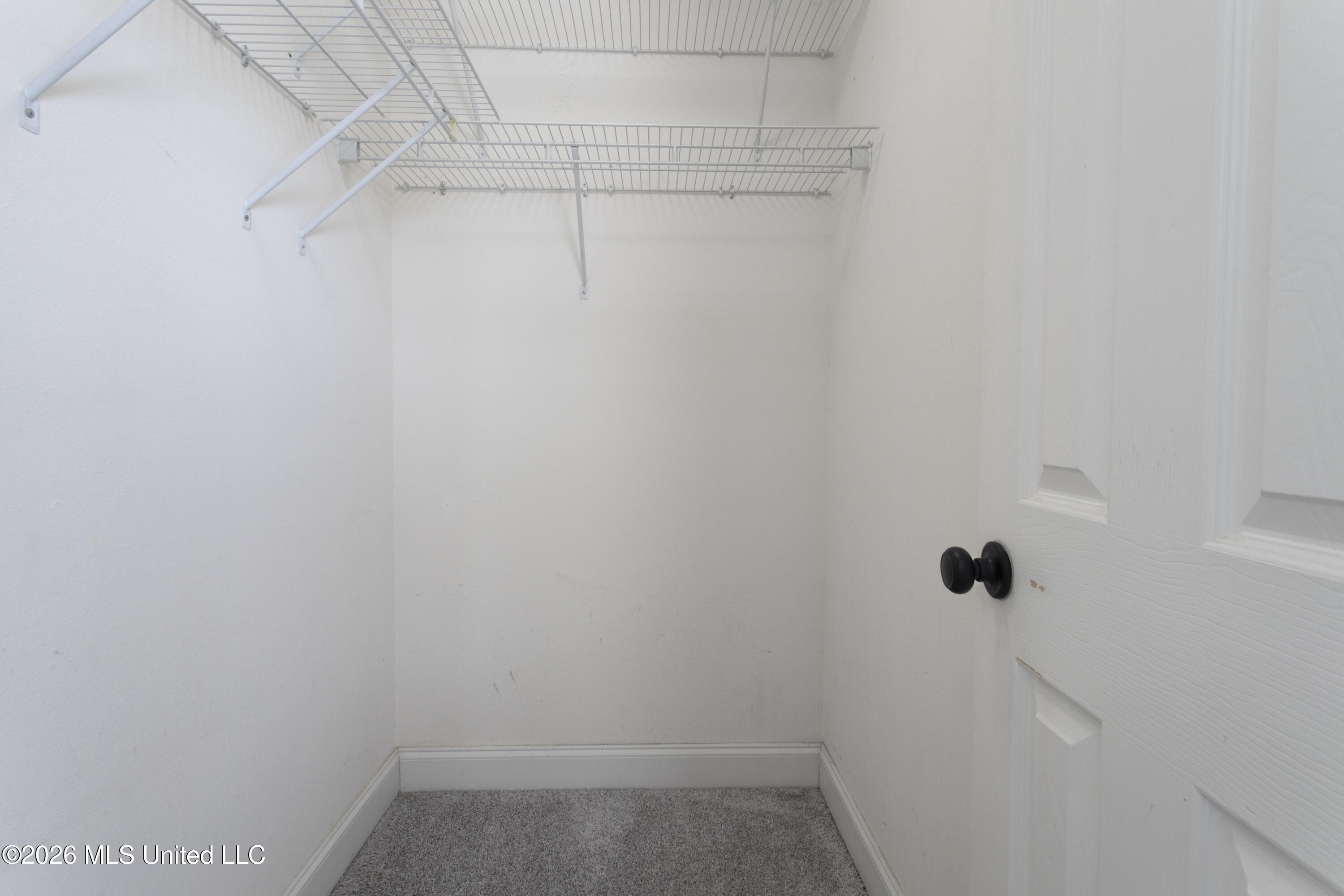18330 Tiffany Renee Drive Property Photo 22