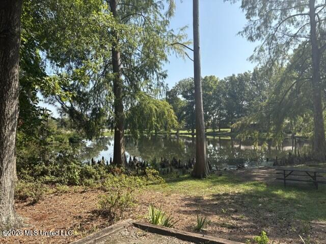 211 S Twin Lakes Property Photo 42