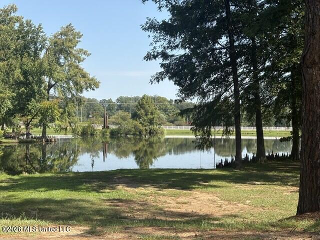 211 S Twin Lakes Property Photo 44