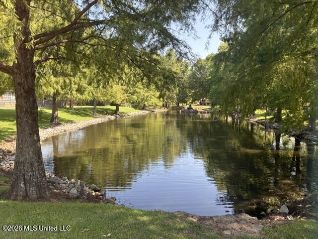 211 S Twin Lakes Property Photo 45