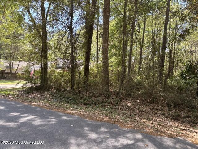 Lot # 434 Walnut Street Property Photo 5