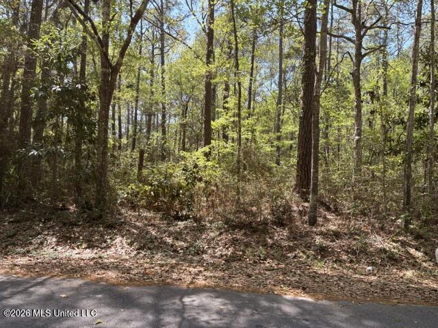 Lot # 435 Walnut Street Property Photo 3