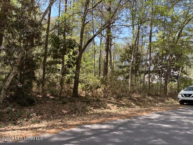 Lot # 435 Walnut Street Property Photo 5