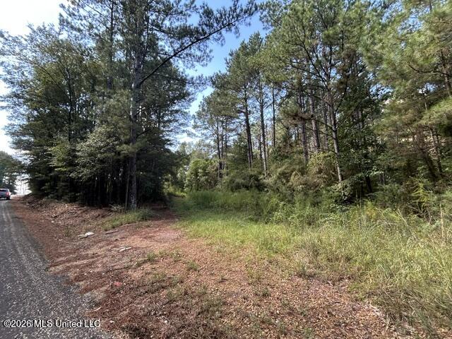 Irene Road Property Photo 1