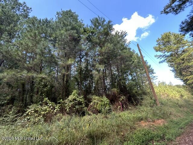 Irene Road Property Photo 5