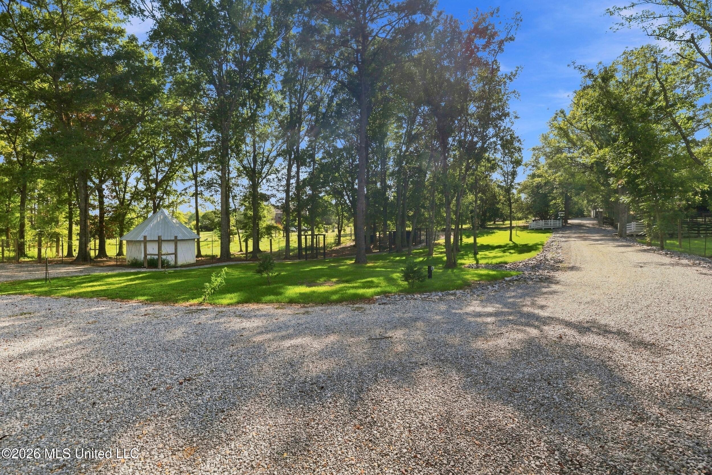 282 Ralph Rawls Road Property Photo 86