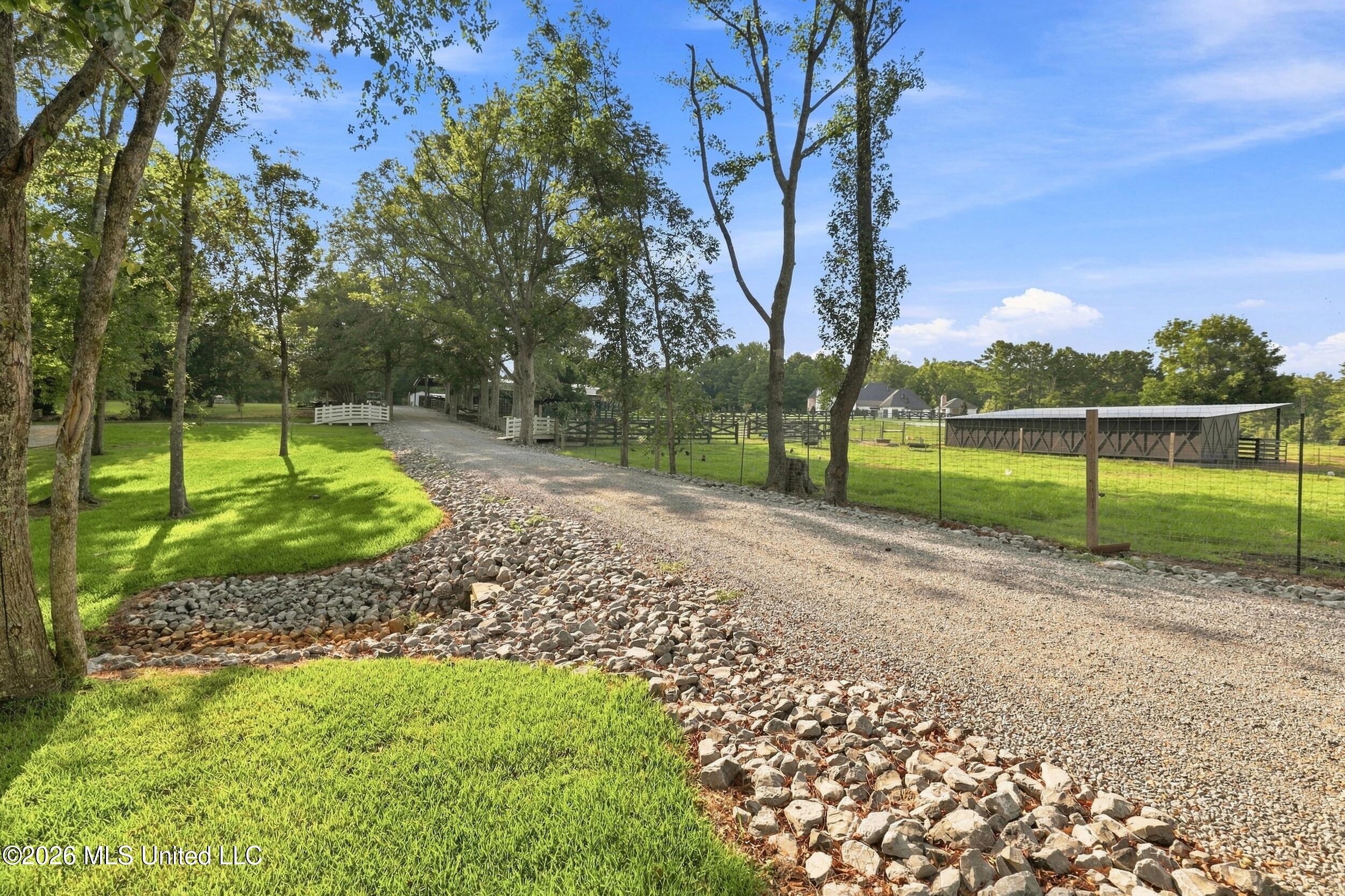 282 Ralph Rawls Road Property Photo 97