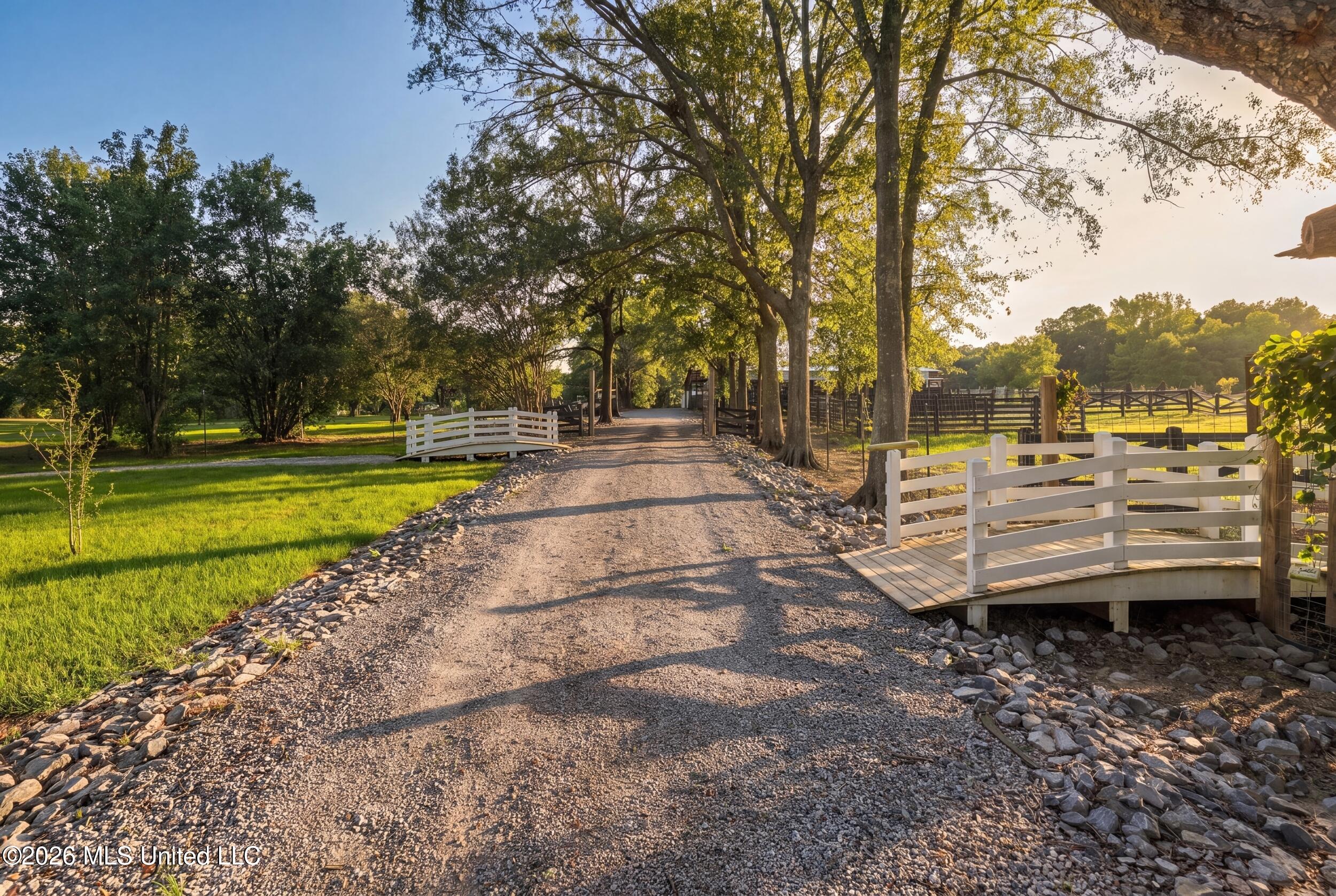 282 Ralph Rawls Road Property Photo 128