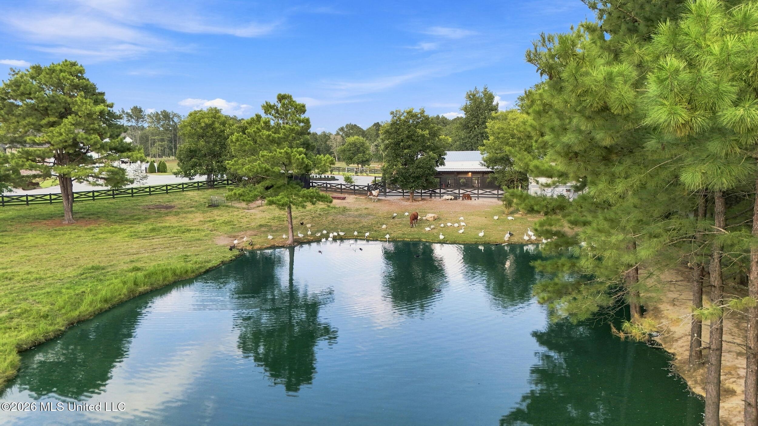 282 Ralph Rawls Road Property Photo 129
