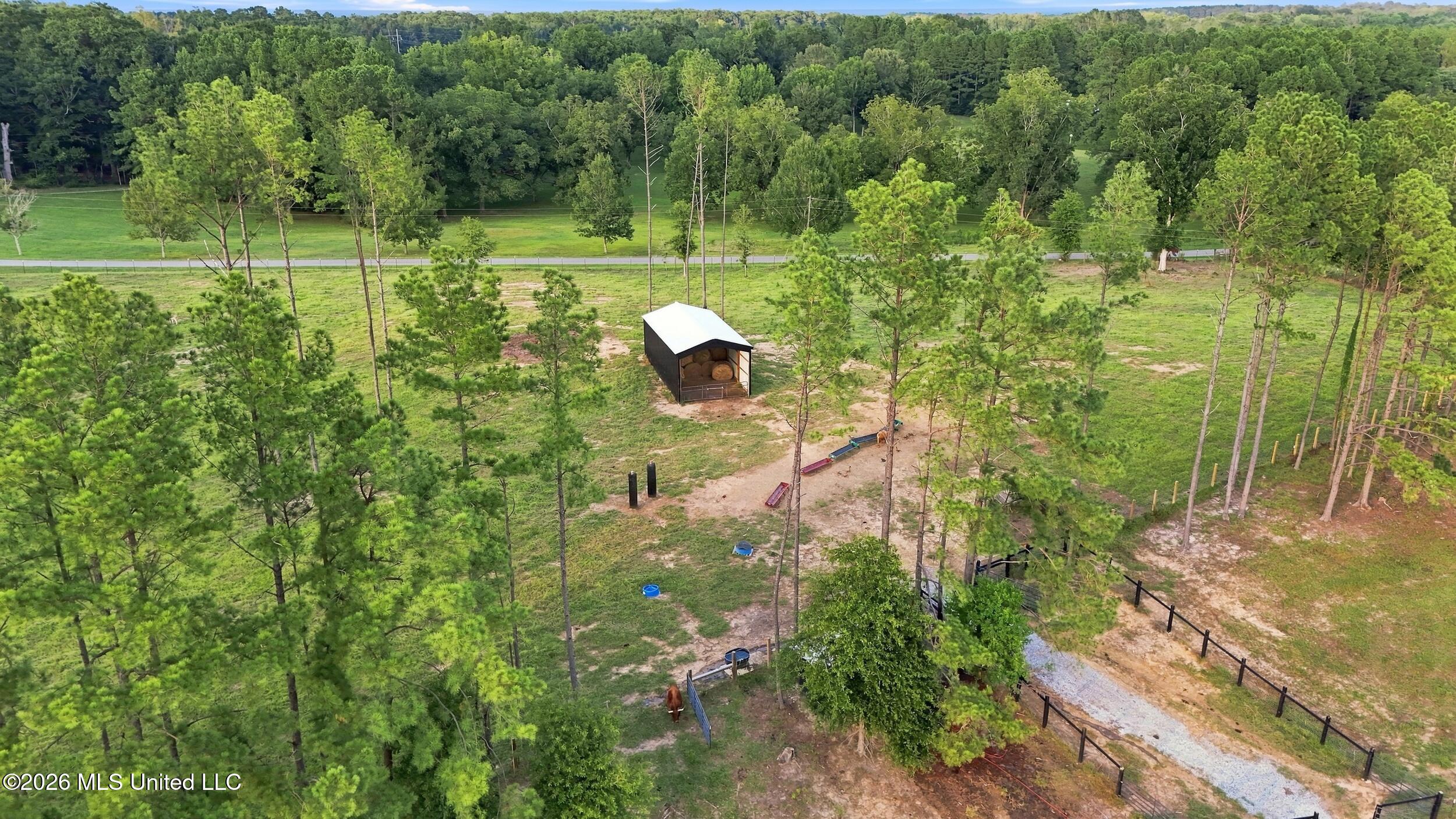 282 Ralph Rawls Road Property Photo 133